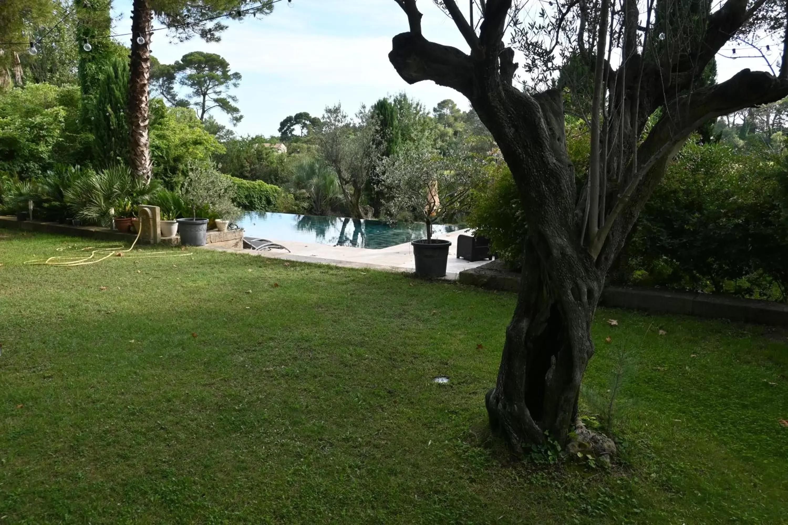 Pool view, Garden in Chambres d'hôtes sous l'olivier