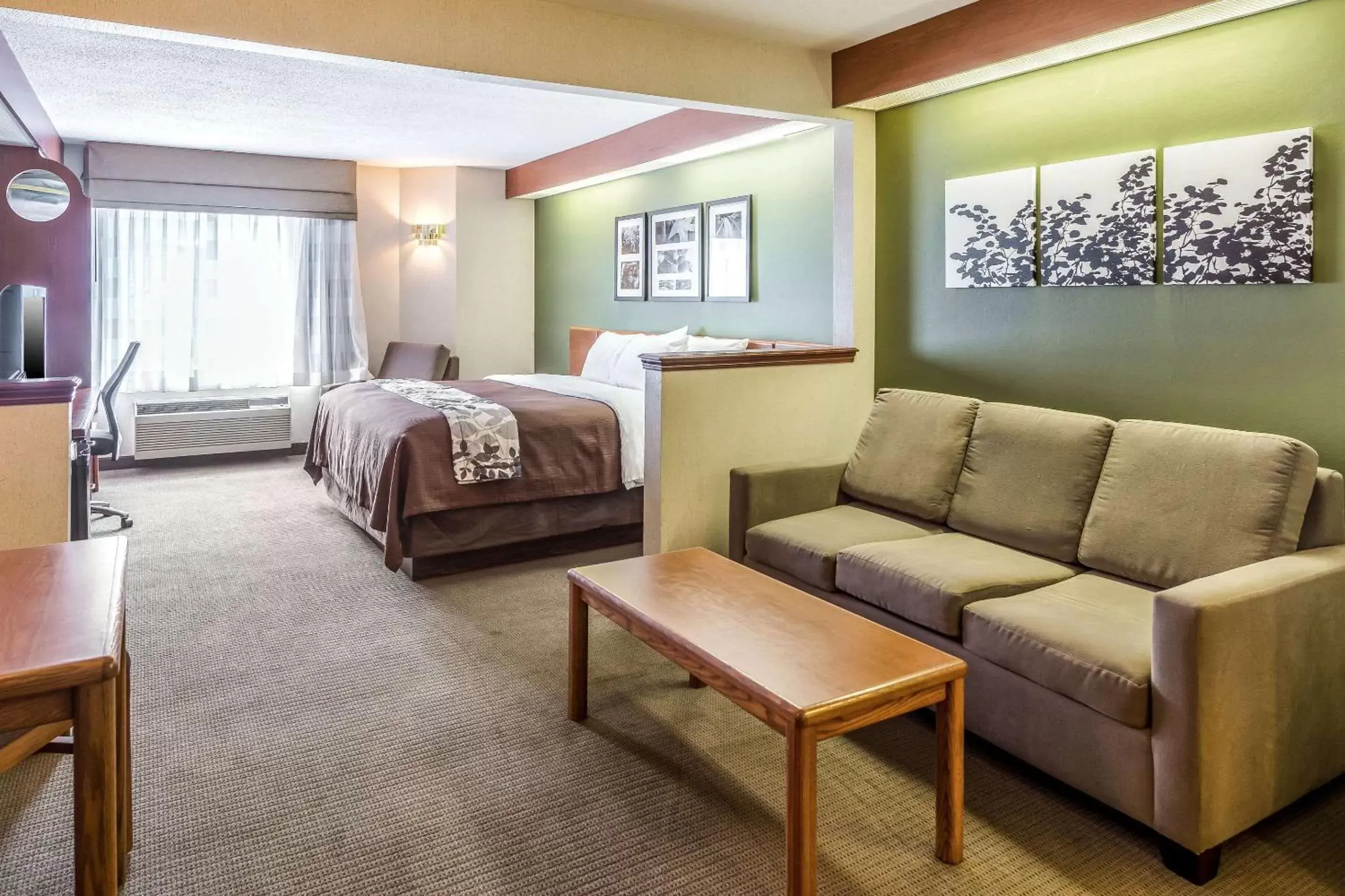 Photo of the whole room in Sleep Inn & Suites Acme – Traverse City
