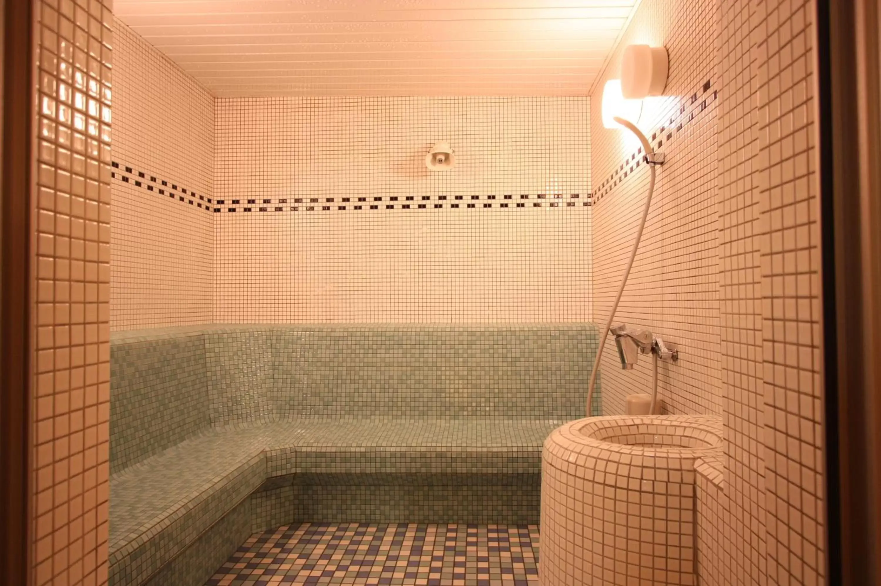 Steam room, Bathroom in Kanazawa Manten Hotel Ekimae