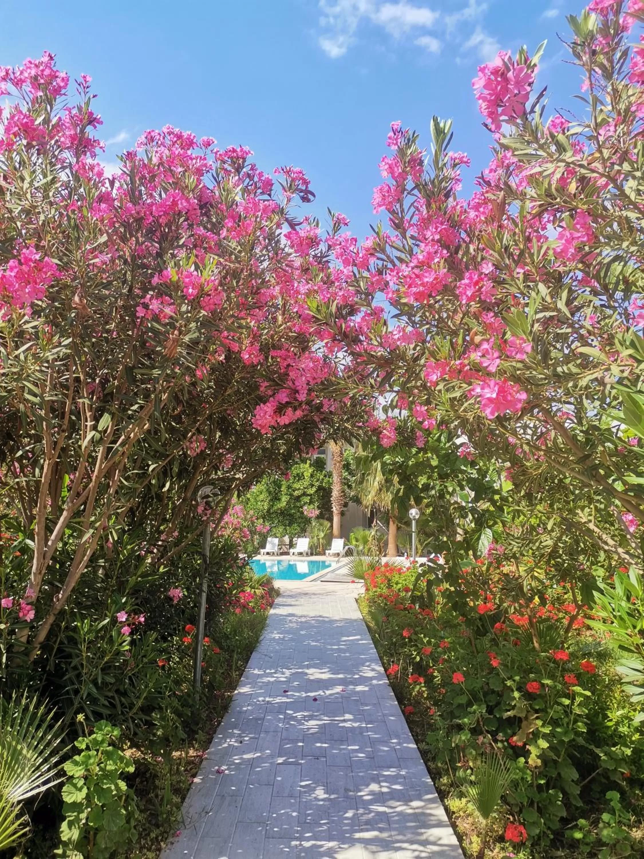 Facade/entrance, Garden in Kiriş Garden Hotel