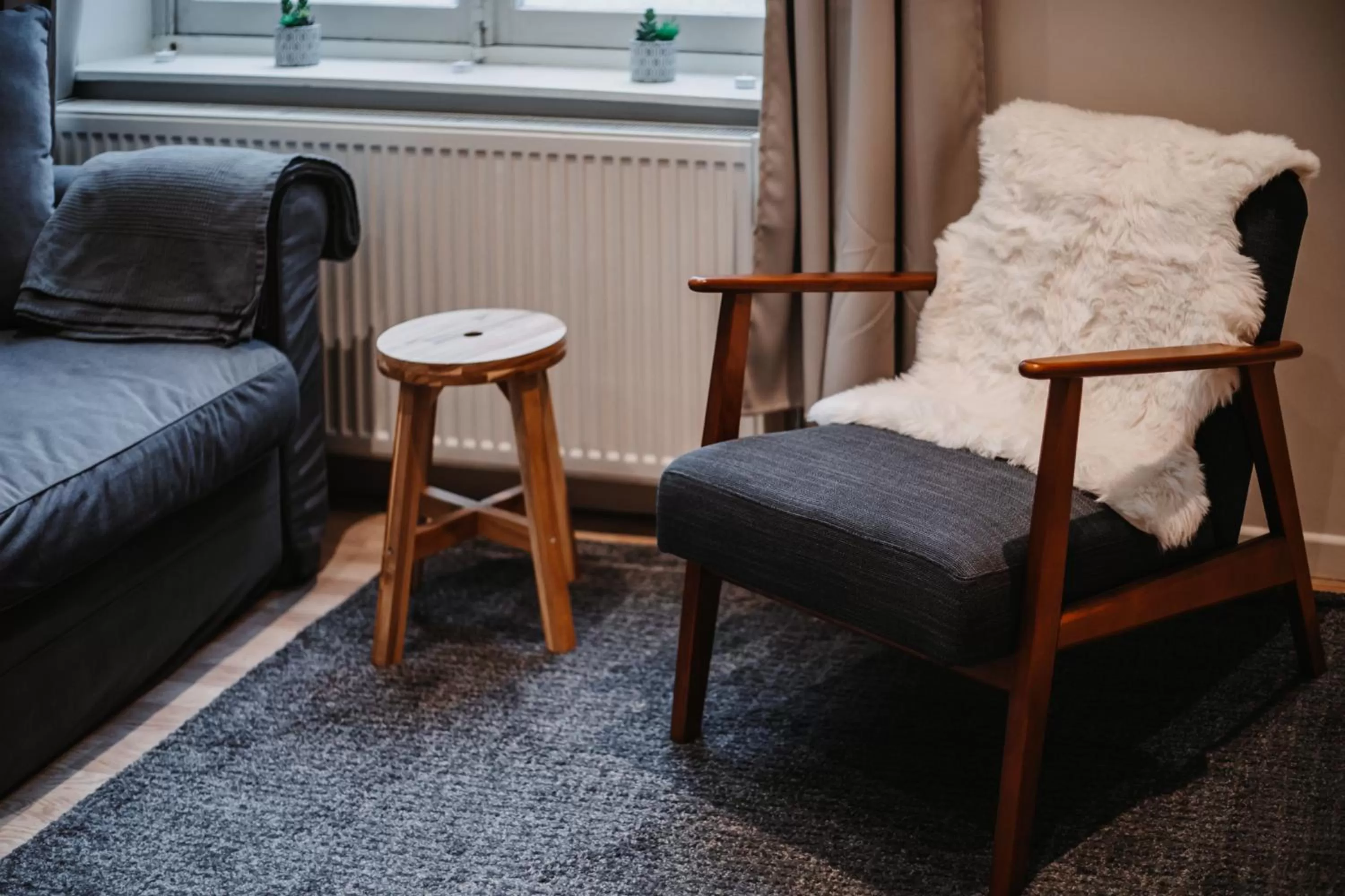 Living room in Central and Cozy in Brussels