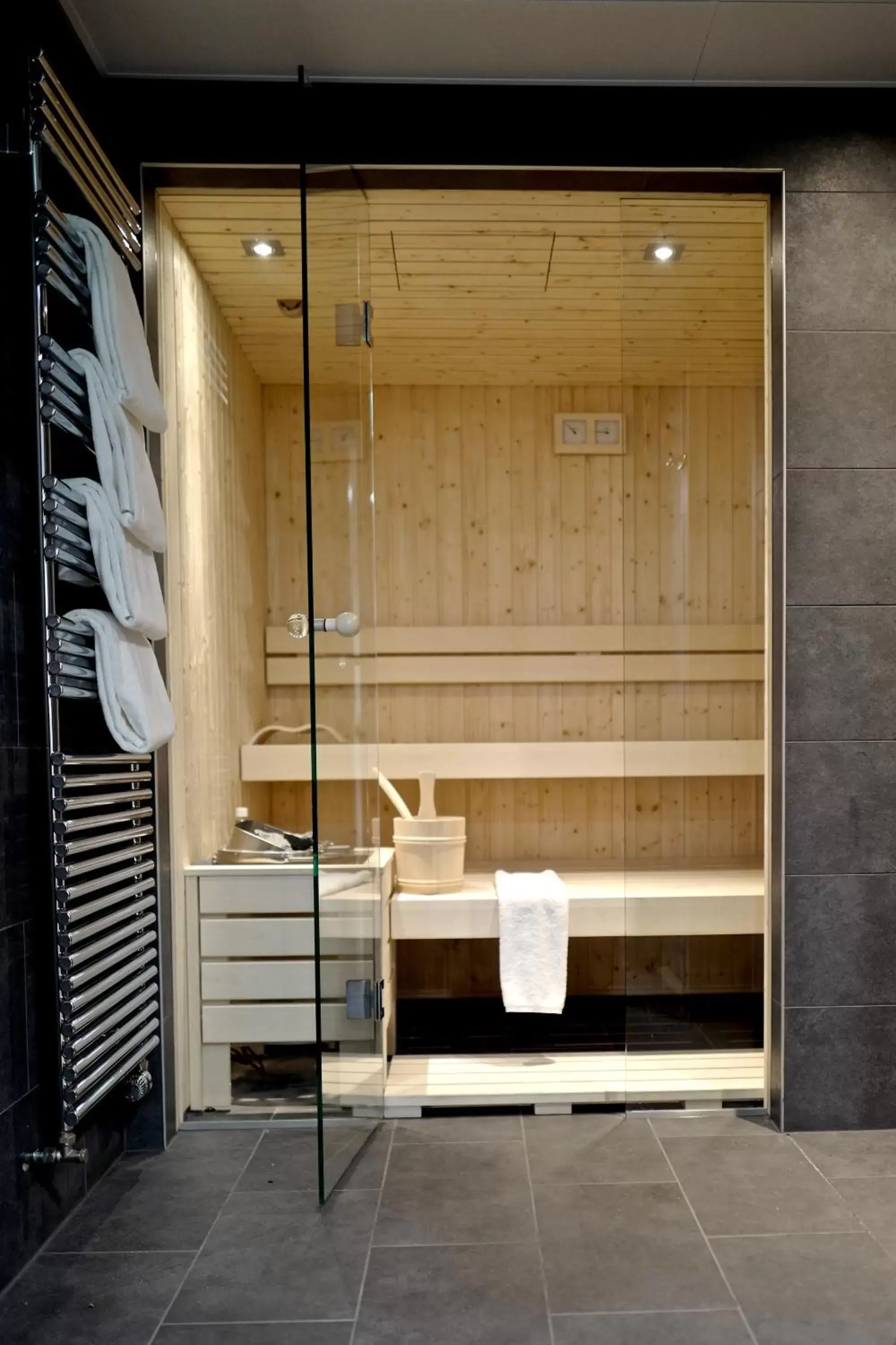 Sauna, Bathroom in Base Vevey