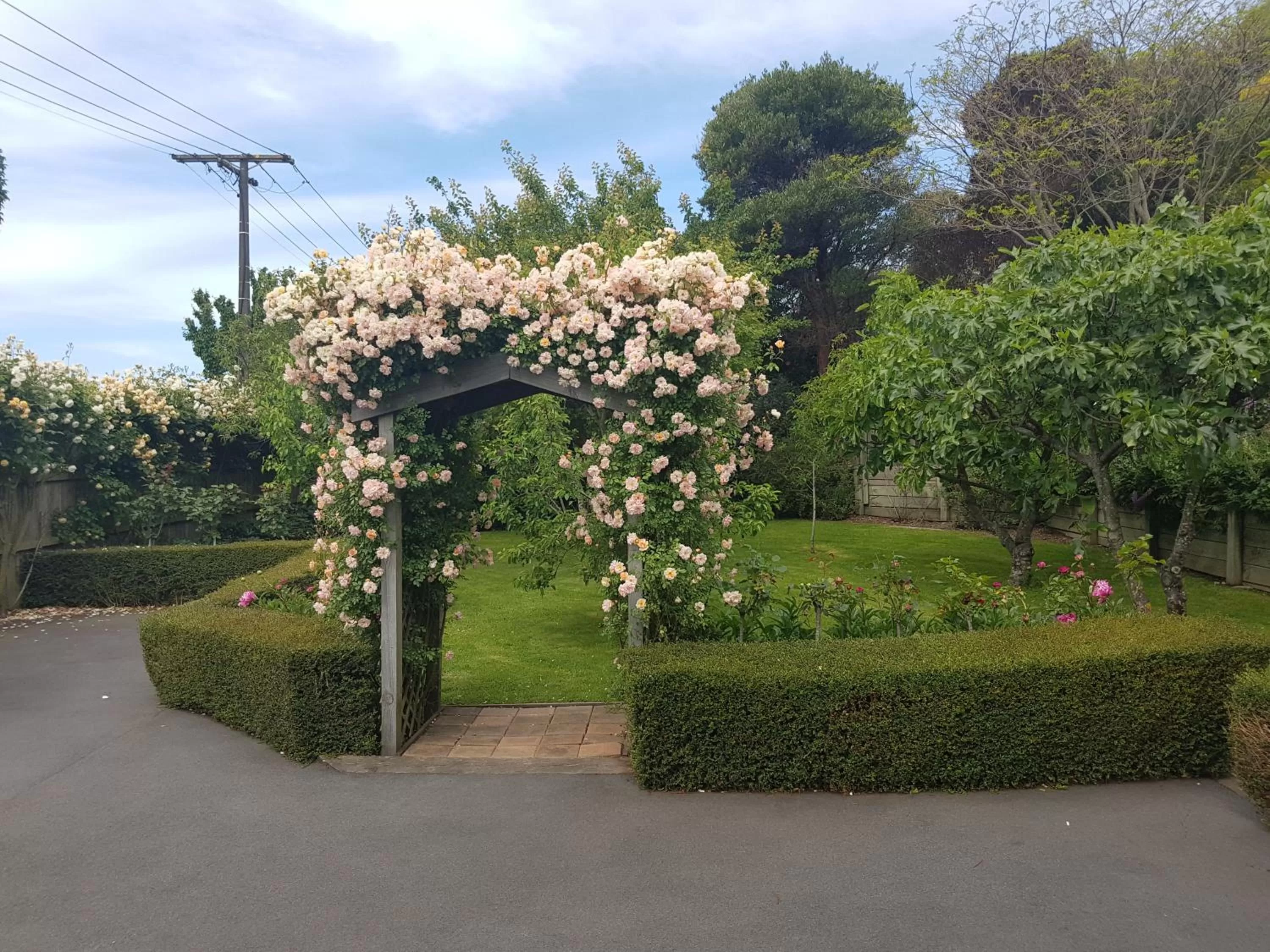 Garden view in Olde Mill House B&B & Bike2Wine cycle hire