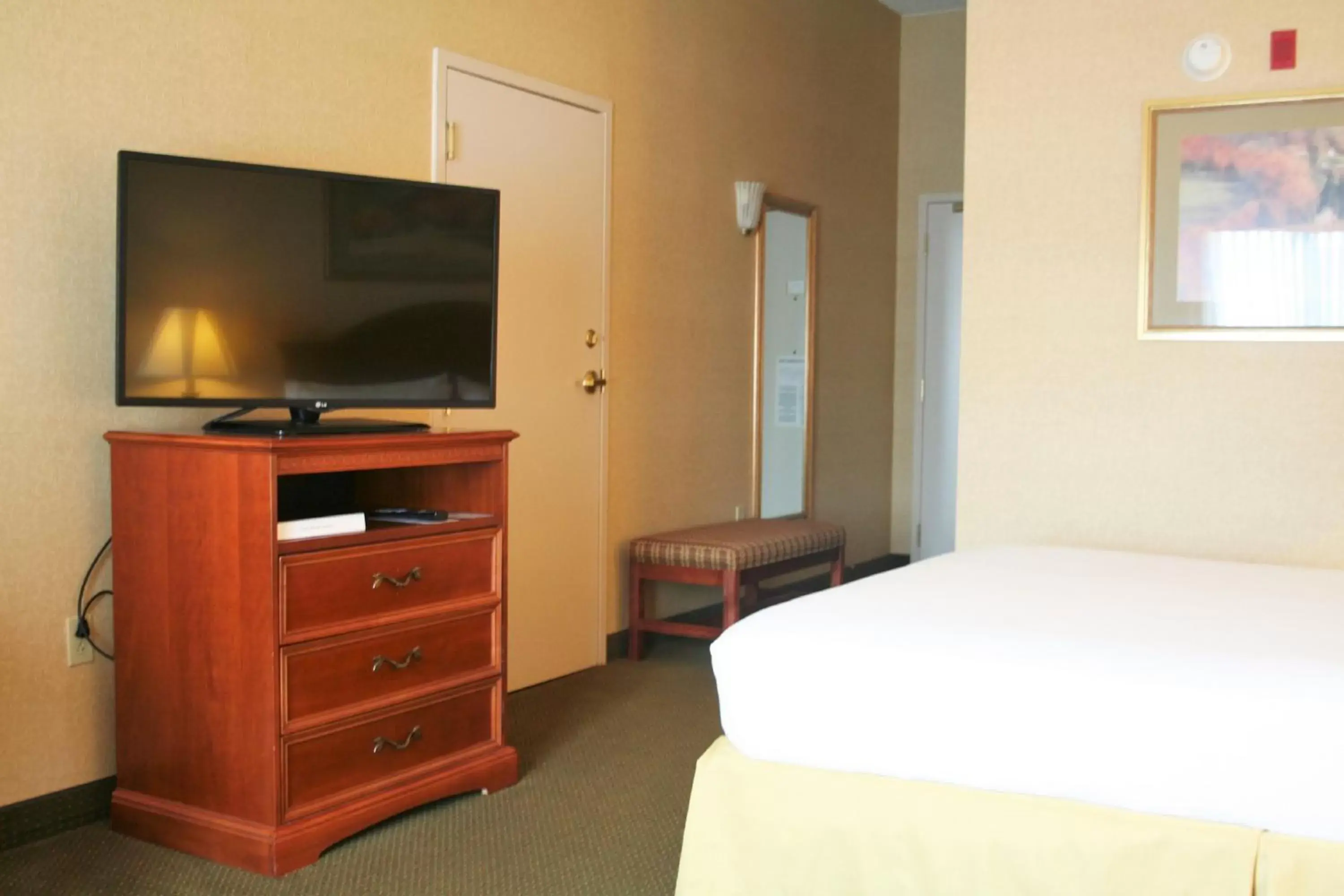 Photo of the whole room, Bed in Holiday Inn Express Hotel & Suites Drums-Hazelton, an IHG Hotel