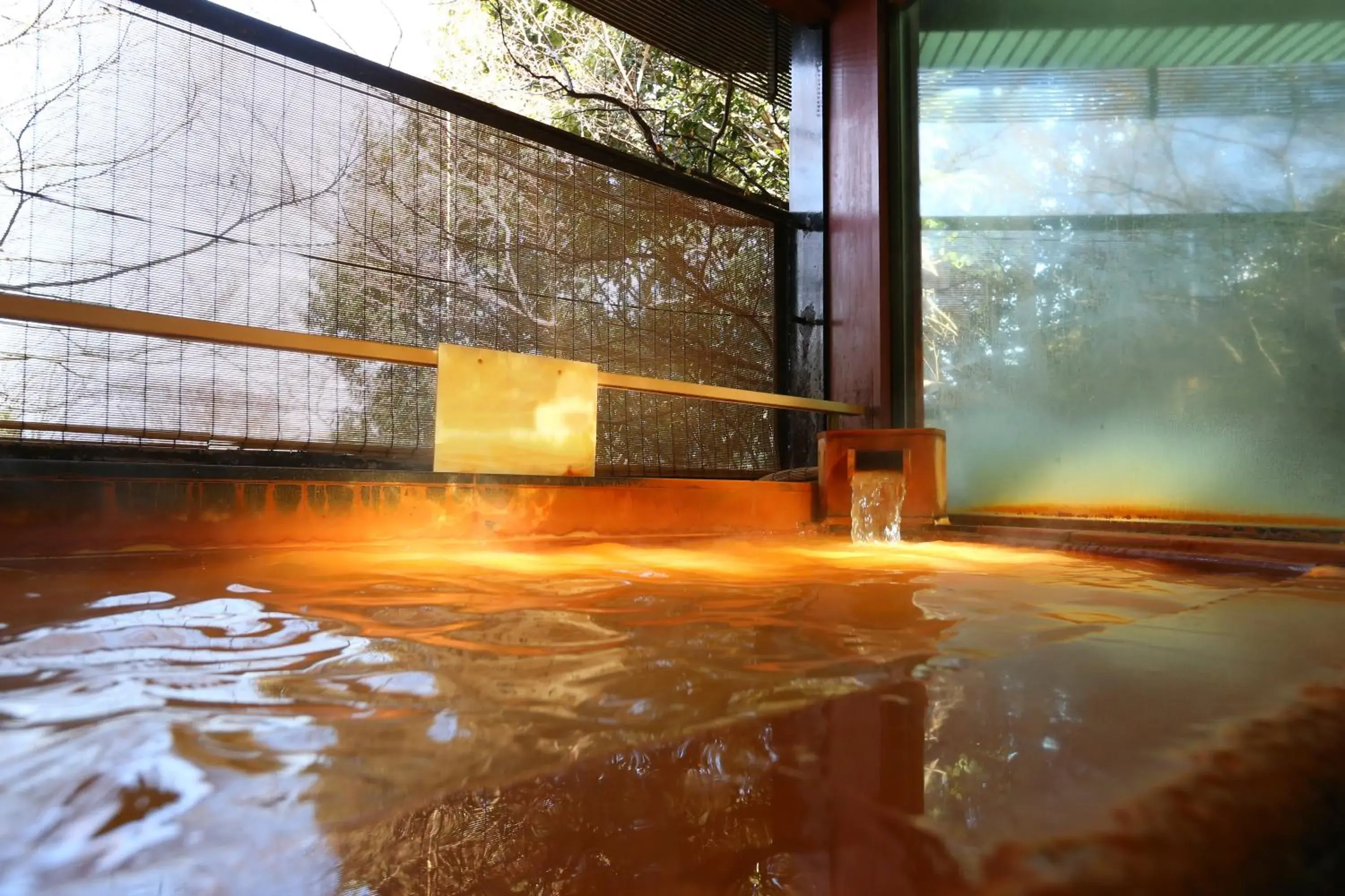 Hot Spring Bath in Arima Onsen Motoyu Kosenkaku