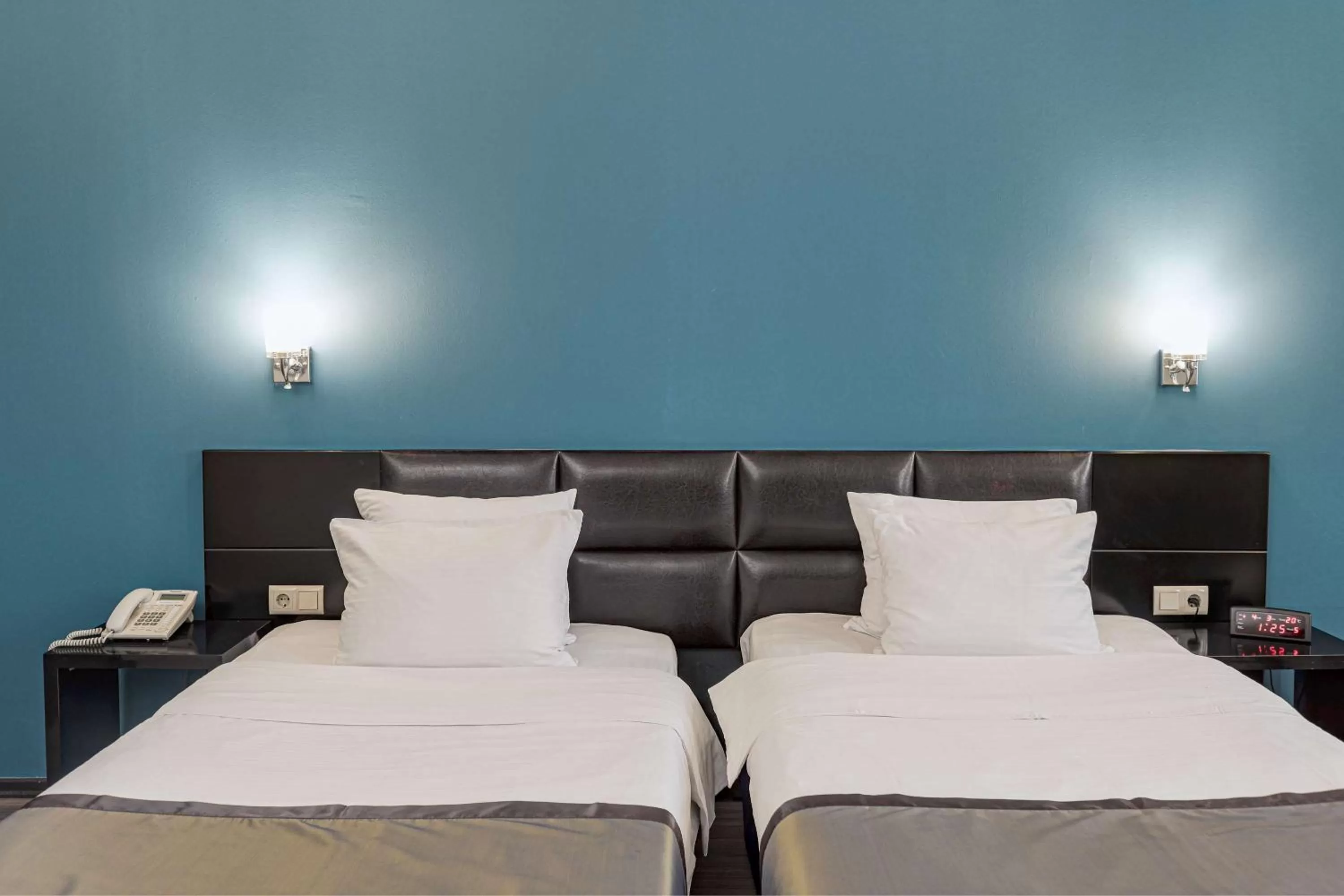 Standard Double Room with Two Single Beds in Best Western Tbilisi Art Hotel