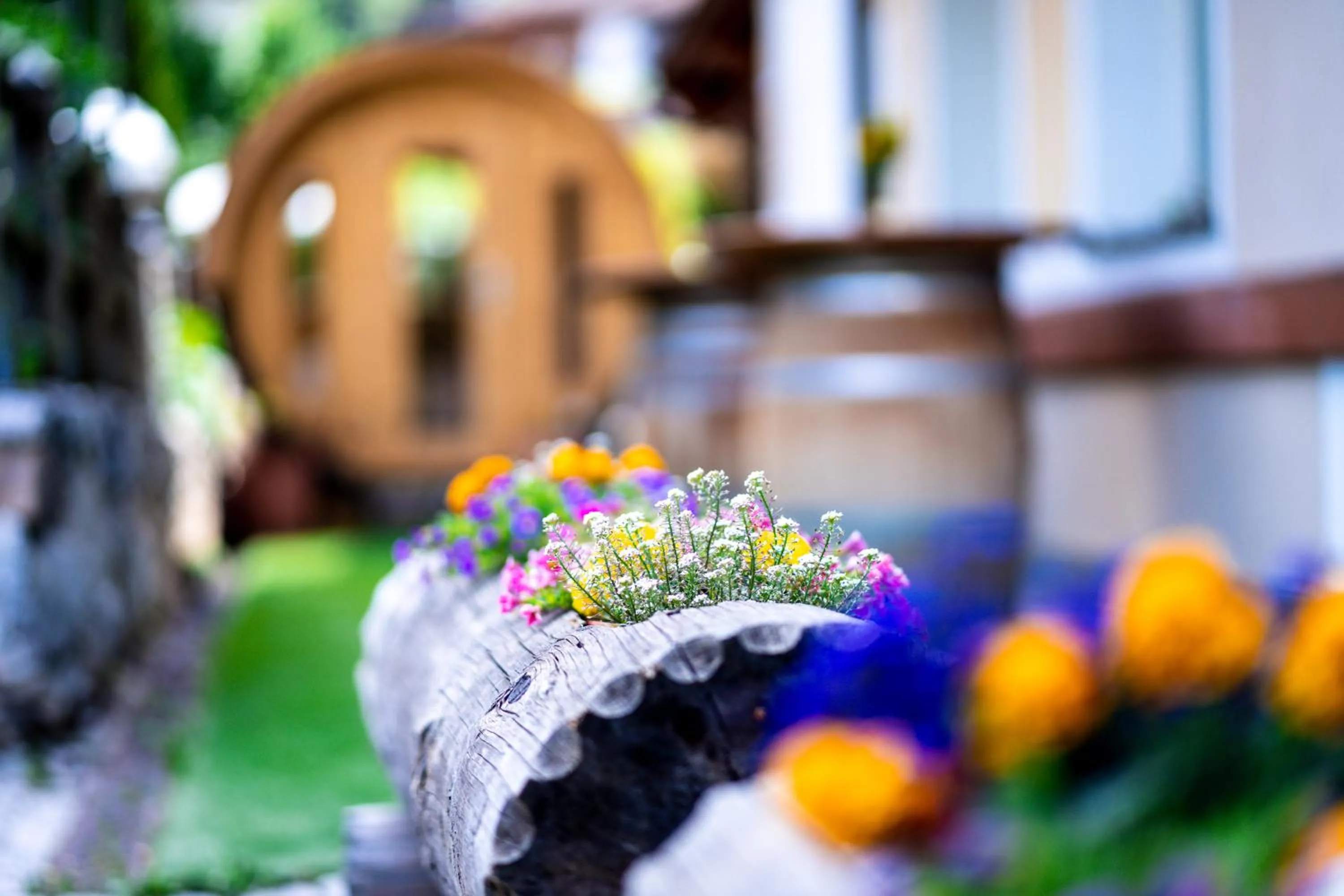 Garden in Negritella Sweet Hotel