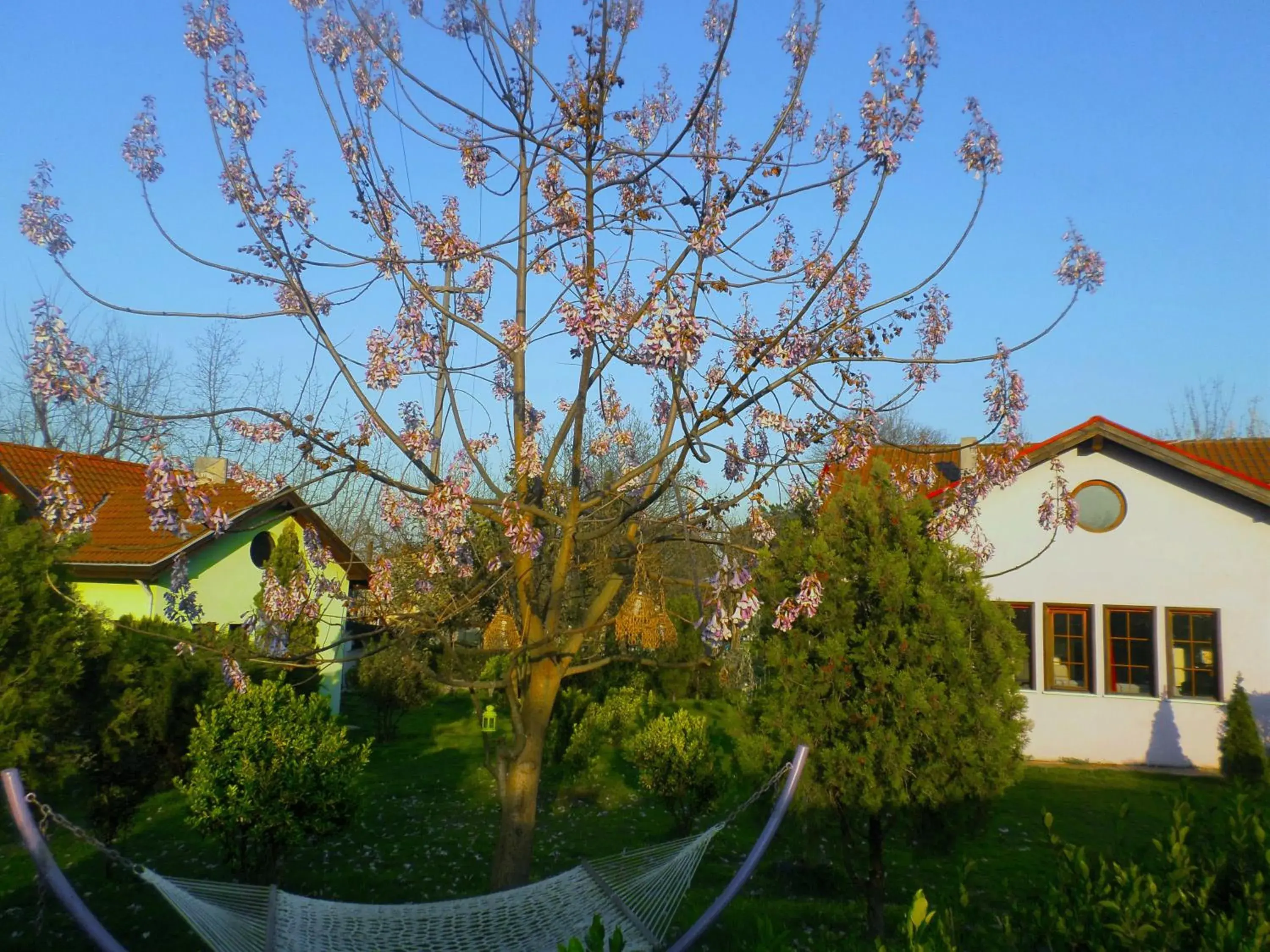 Garden, Property Building in Villa Kirkpinar Sapanca