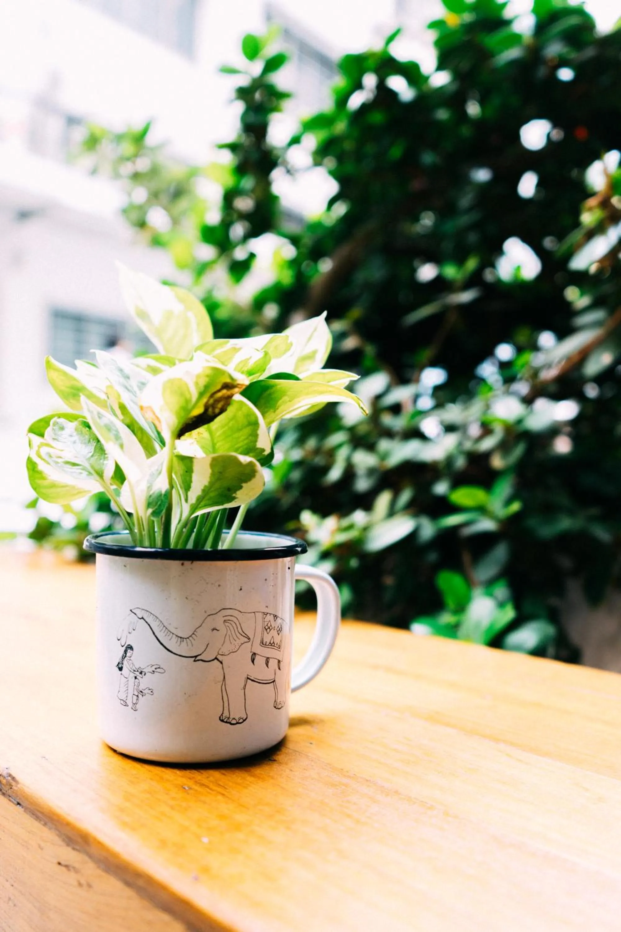 Garden in Monomer Hostel Bangkok