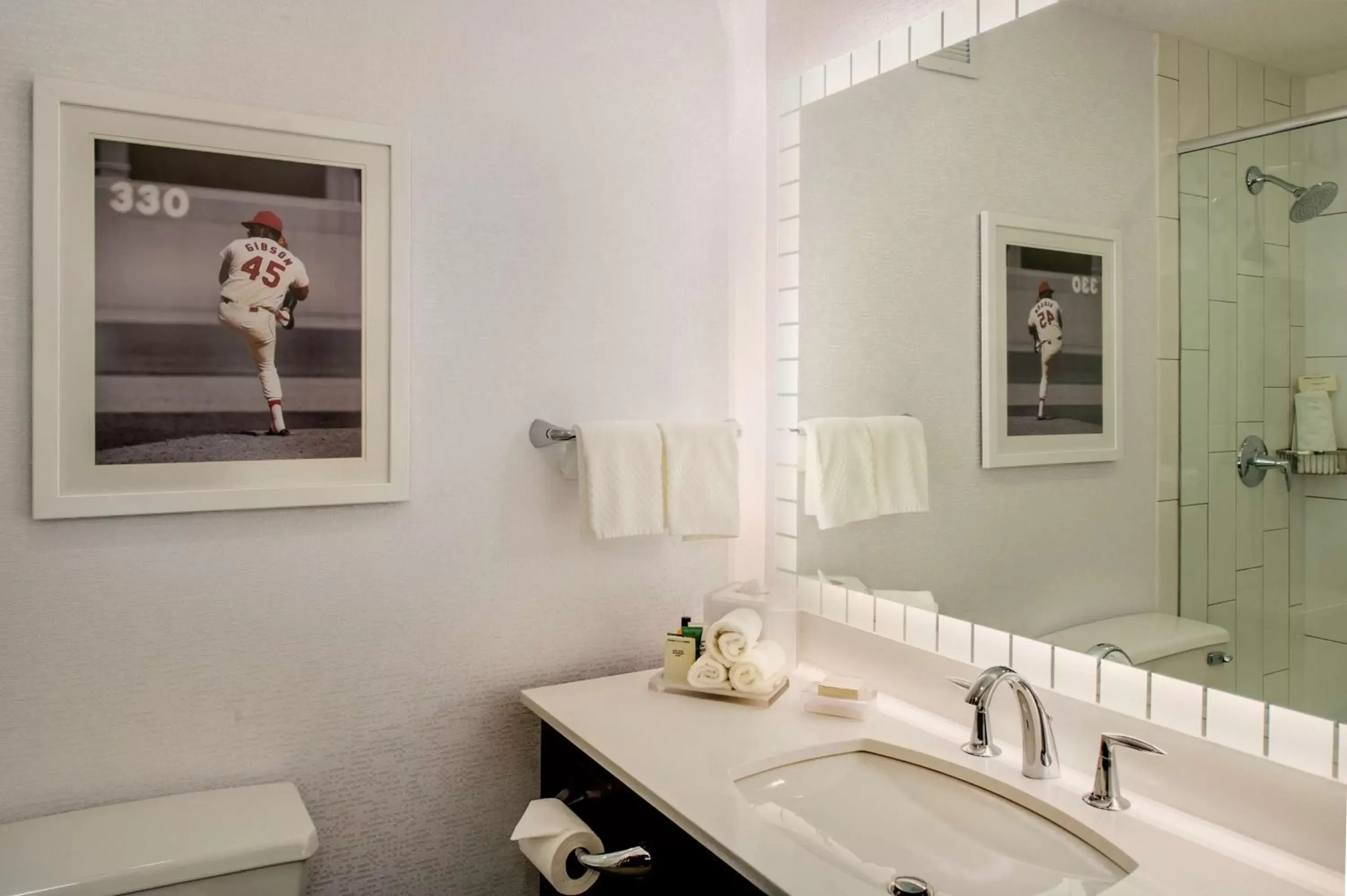 Bathroom in Hilton St. Louis at the Ballpark