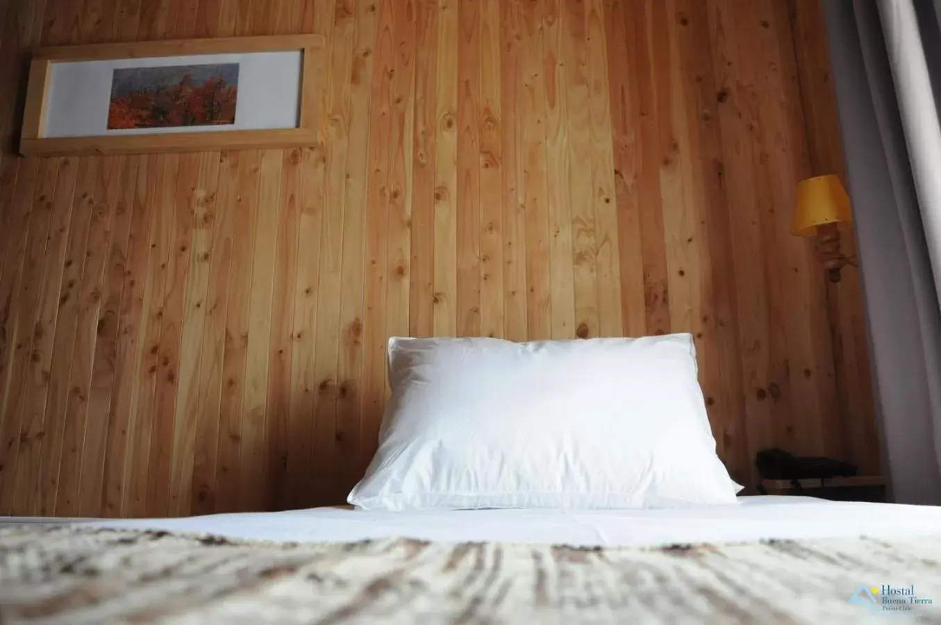 Single Room with Private Bathroom in Hostal Buena Tierra Single Room with Private Bathroom in Hostal Buena Tierra