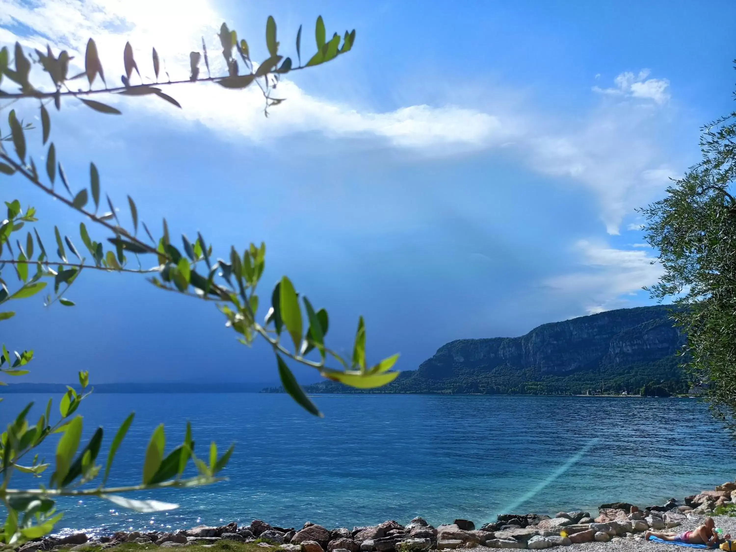 Natural landscape in Le Zampolle B & B