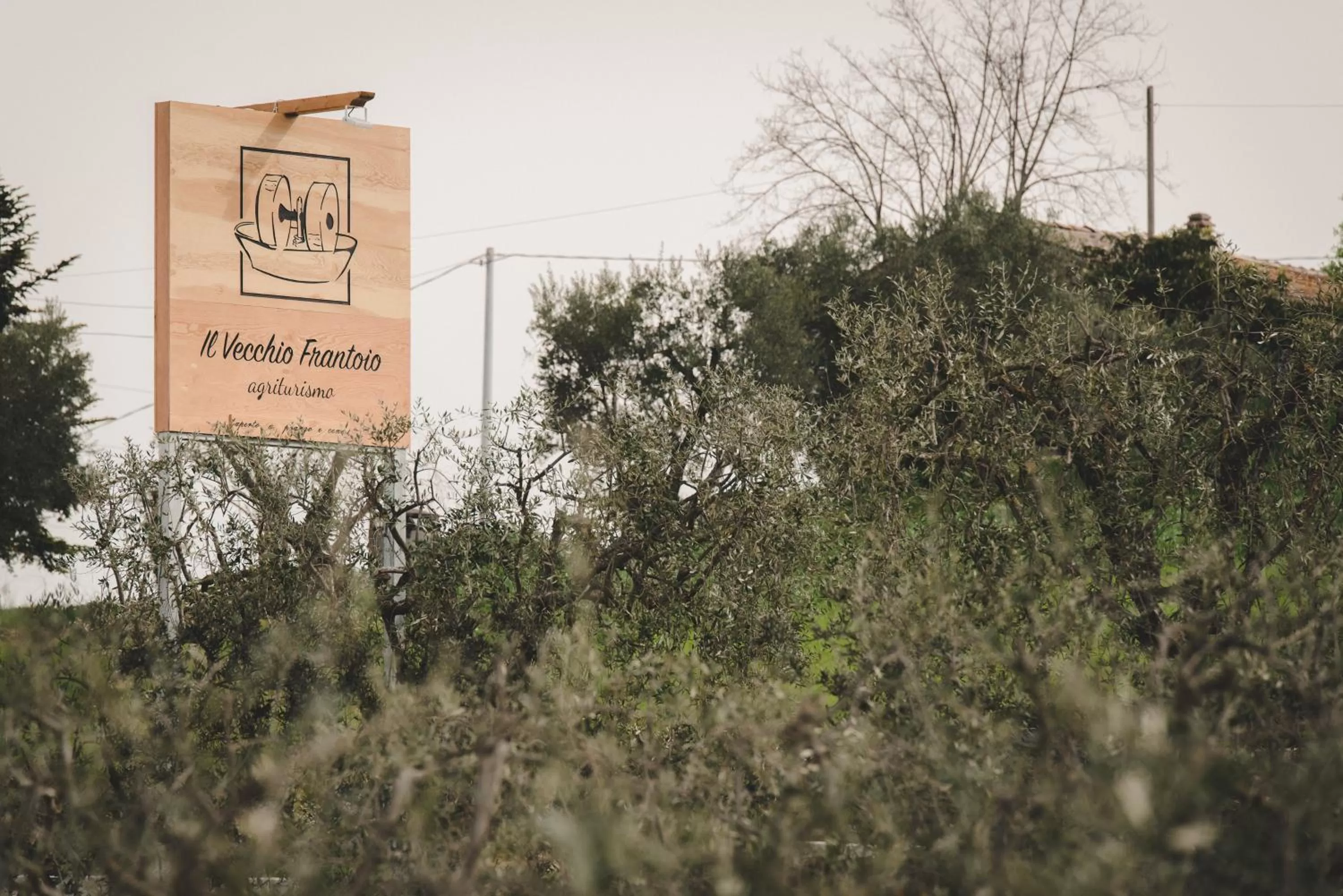 Property Logo/Sign in Il Vecchio Frantoio