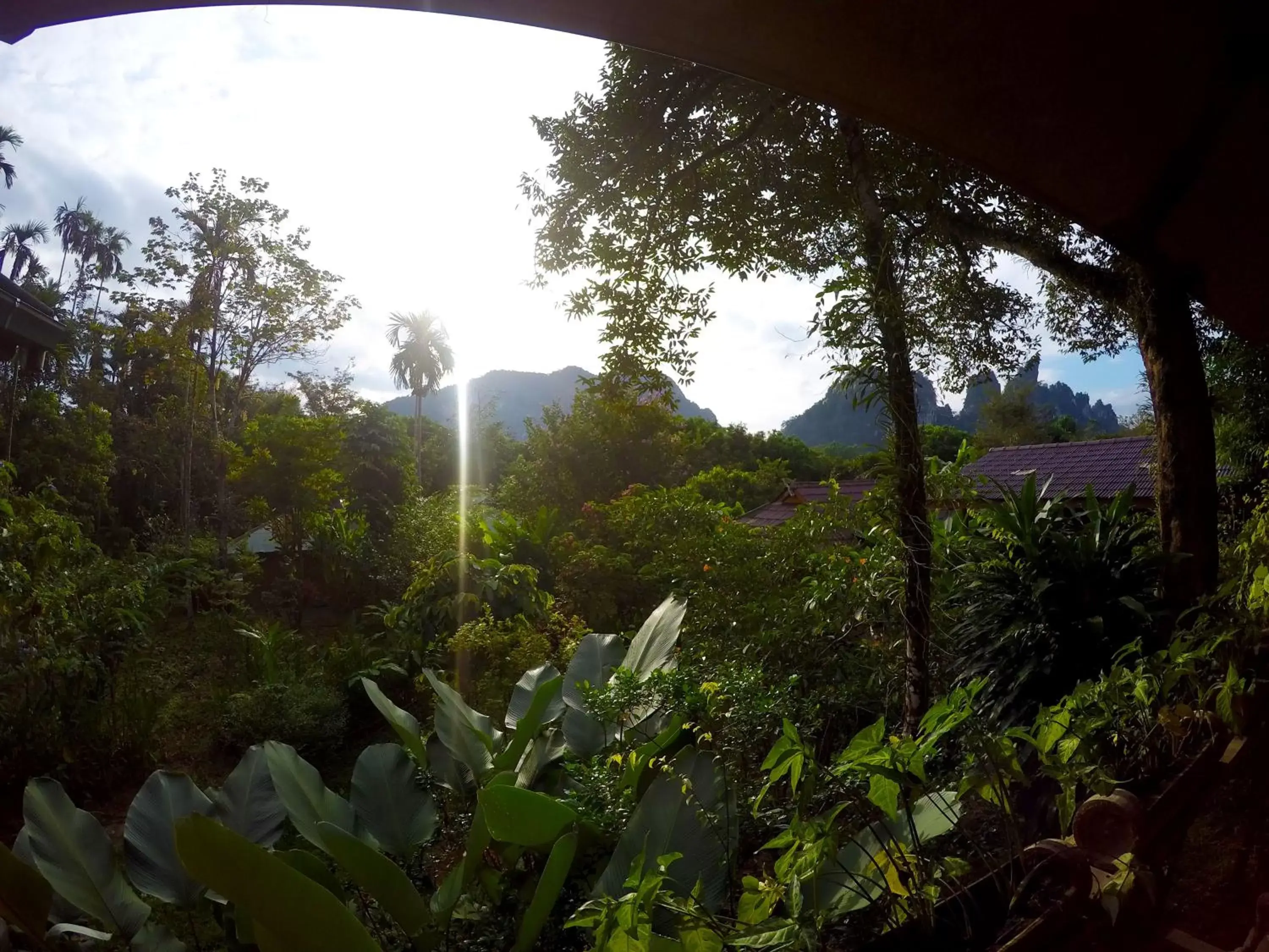 Property building in Khao Sok Morning Mist Resort