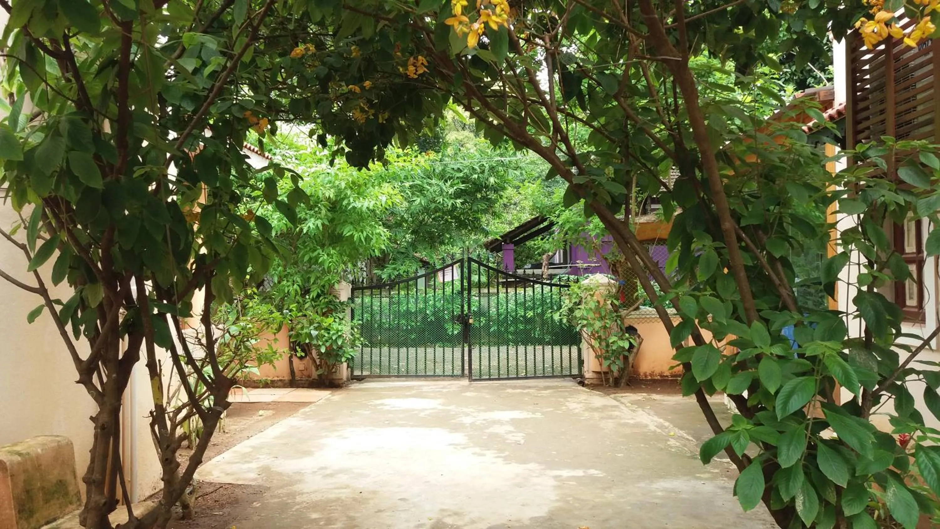 Property building in Amour Resort