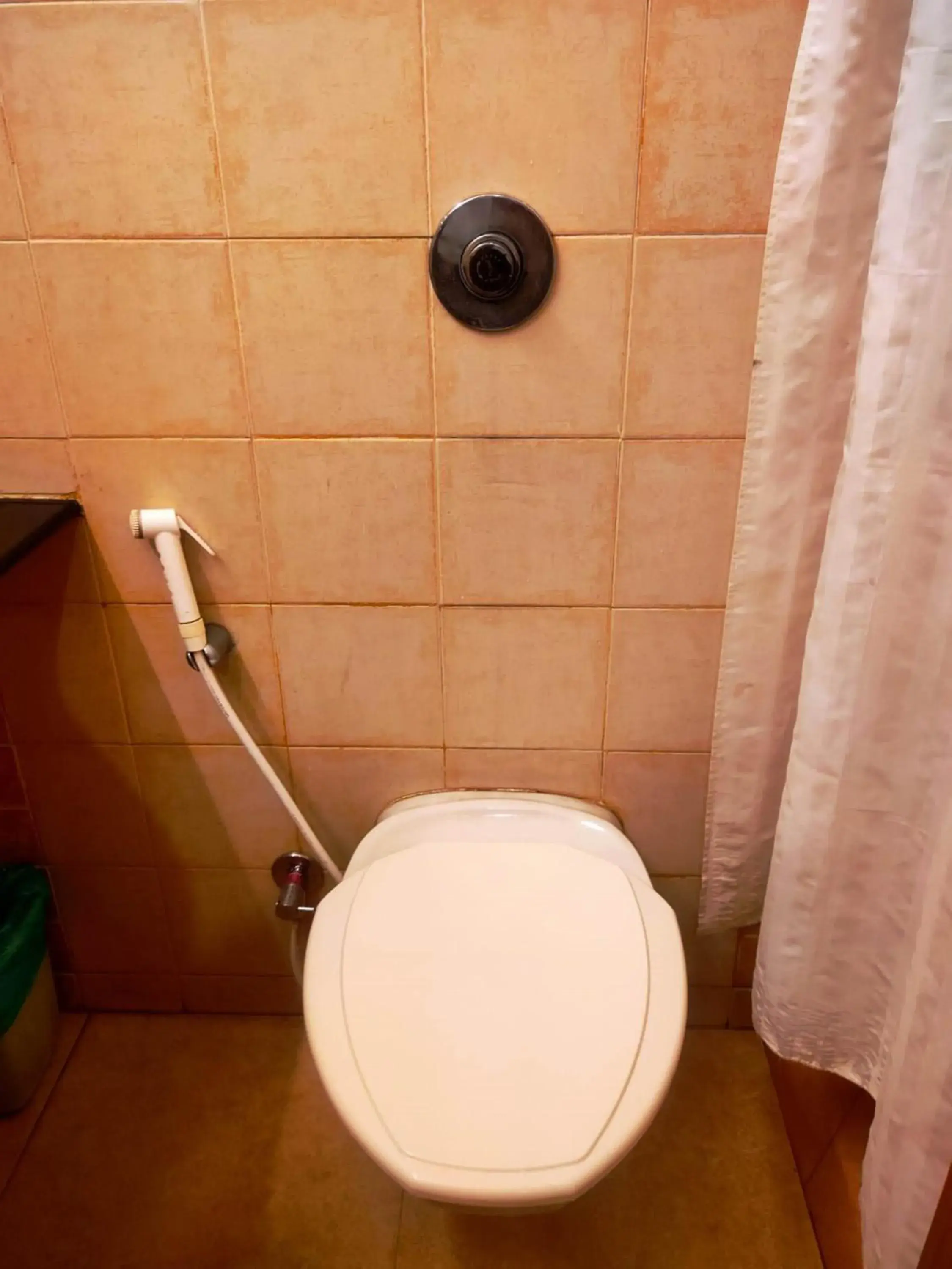 Toilet, Bathroom in Hotel Roopa