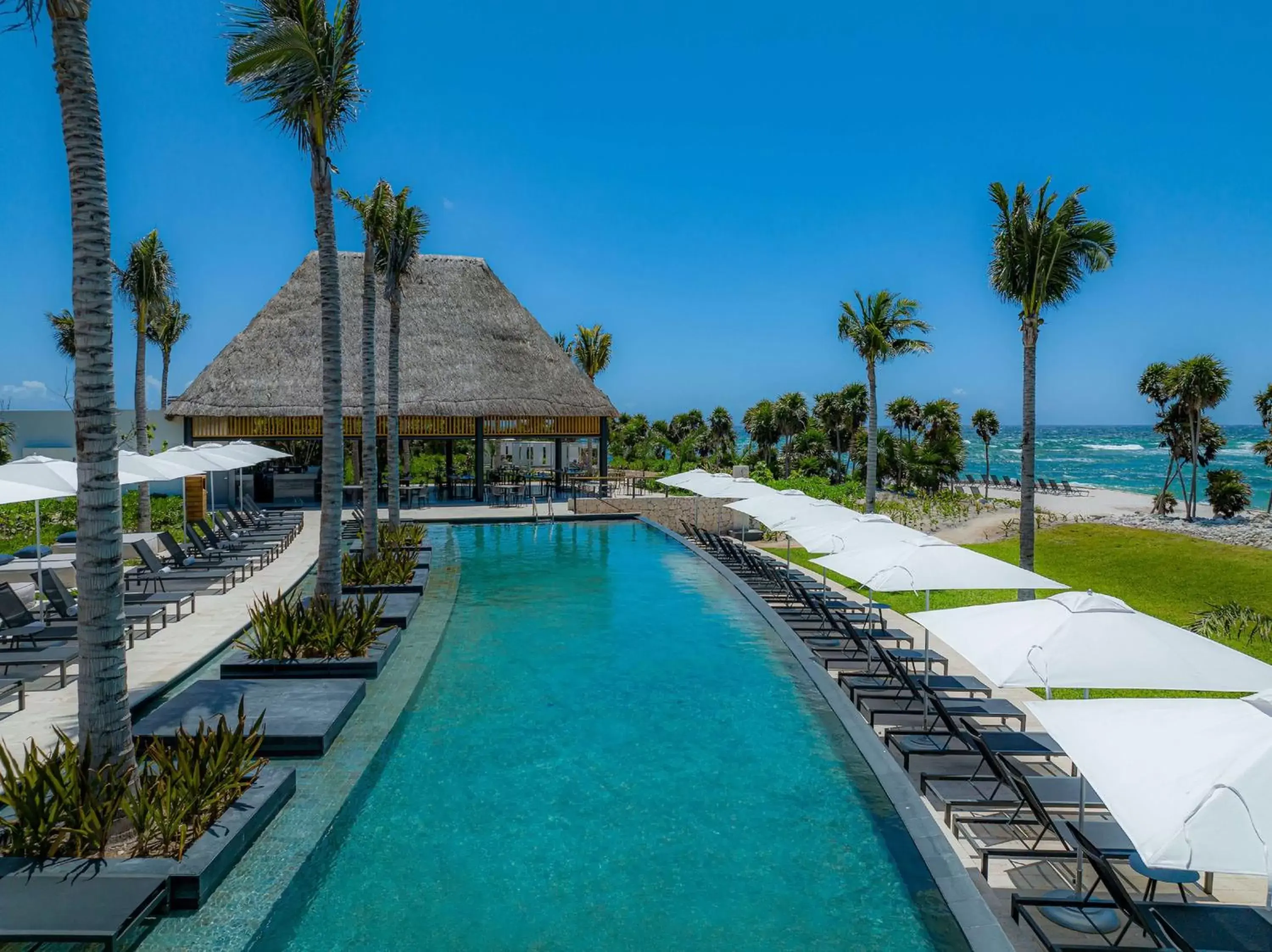 Restaurant/places to eat, Swimming Pool in Conrad Tulum Riviera Maya