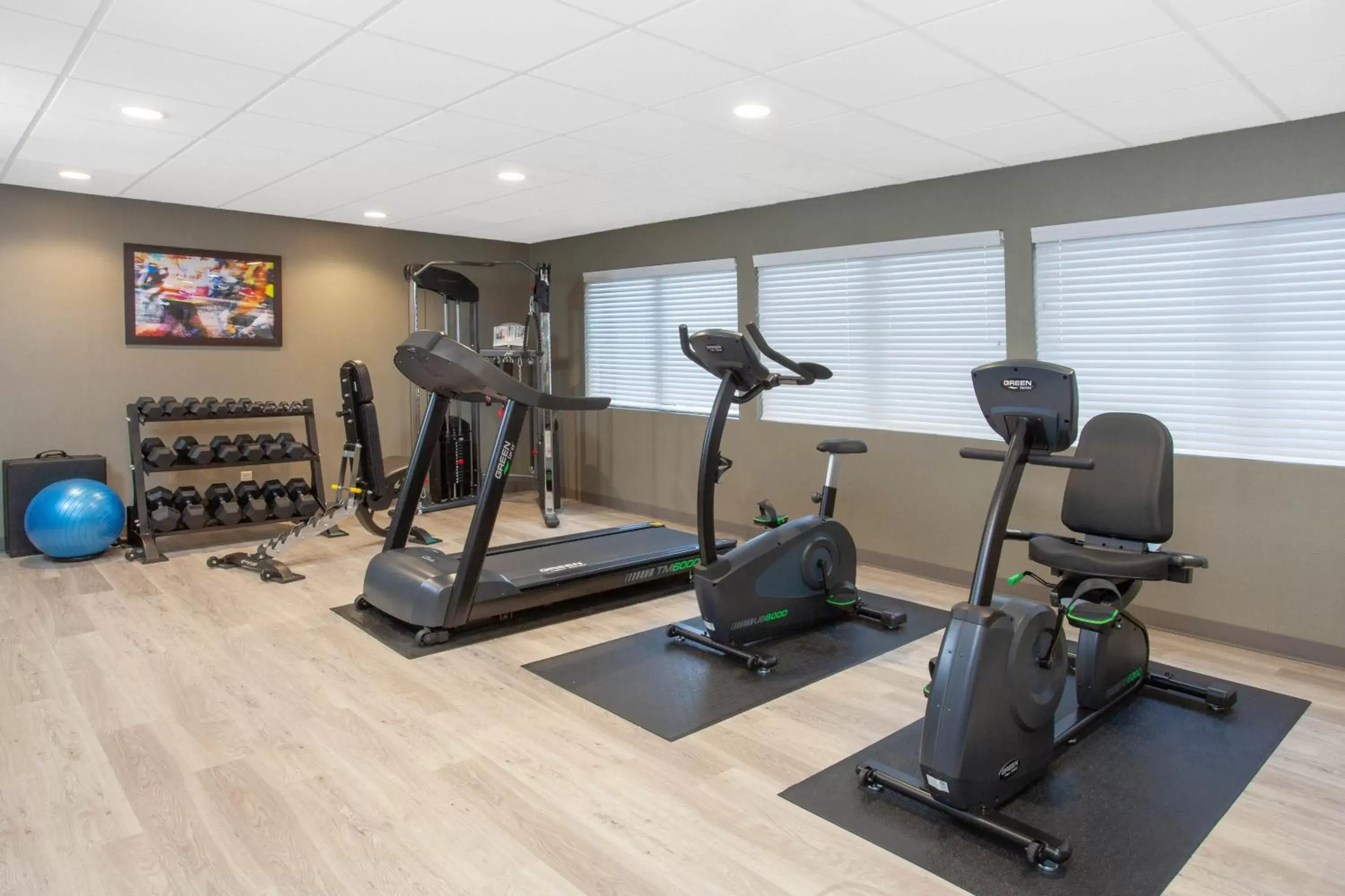 Fitness centre/facilities, Fitness Center/Facilities in Wyndham Garden Fort Wayne