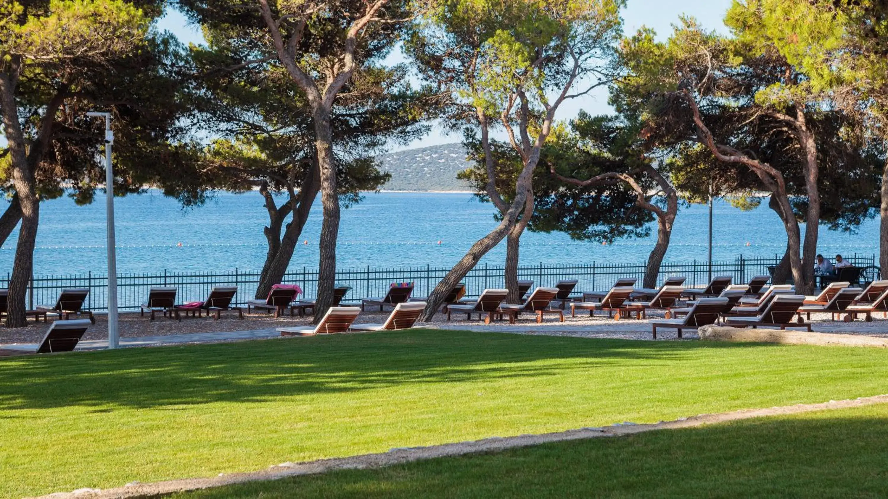 Beach in Hotel Punta