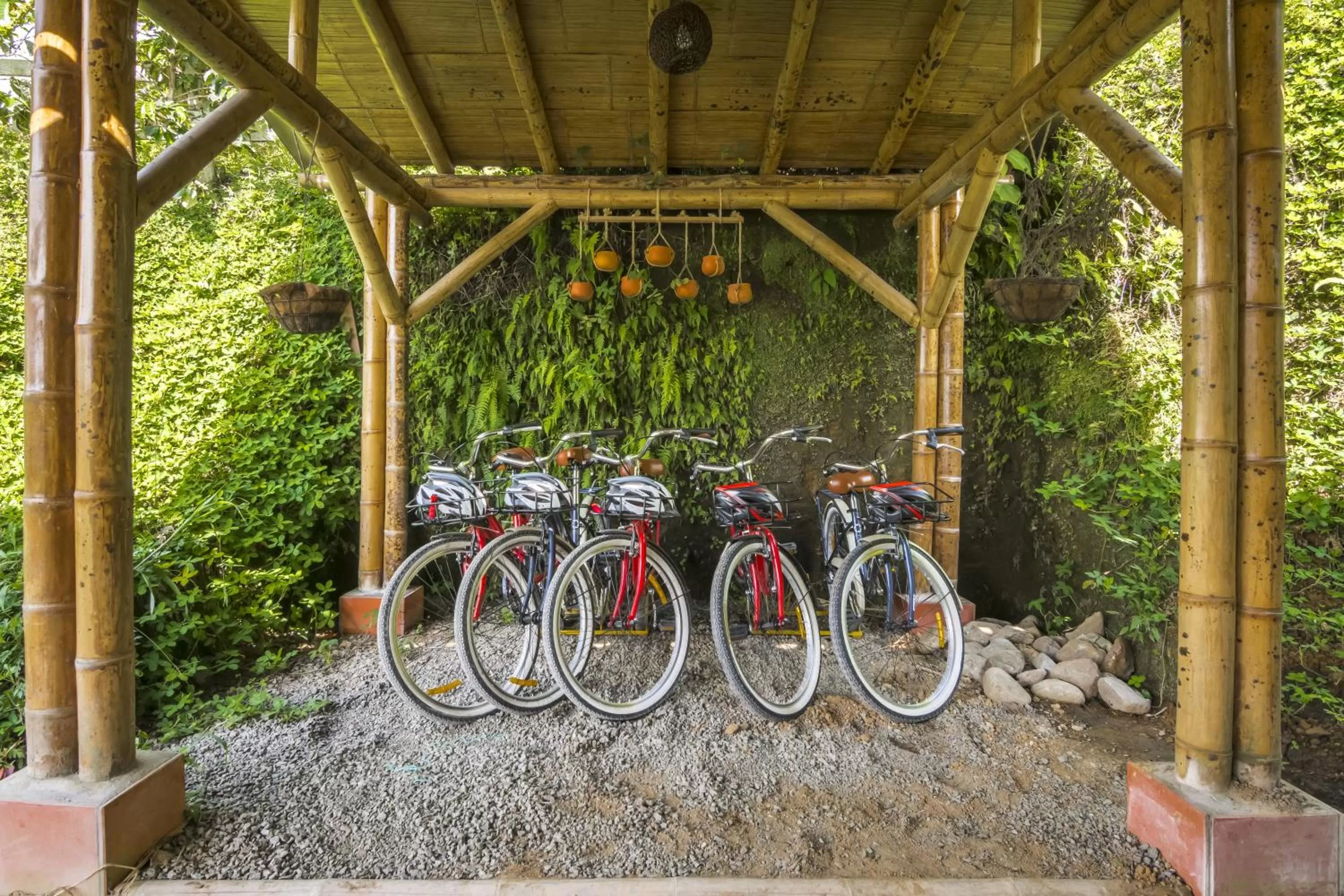 Activities in Los Otobos finca hotel 1