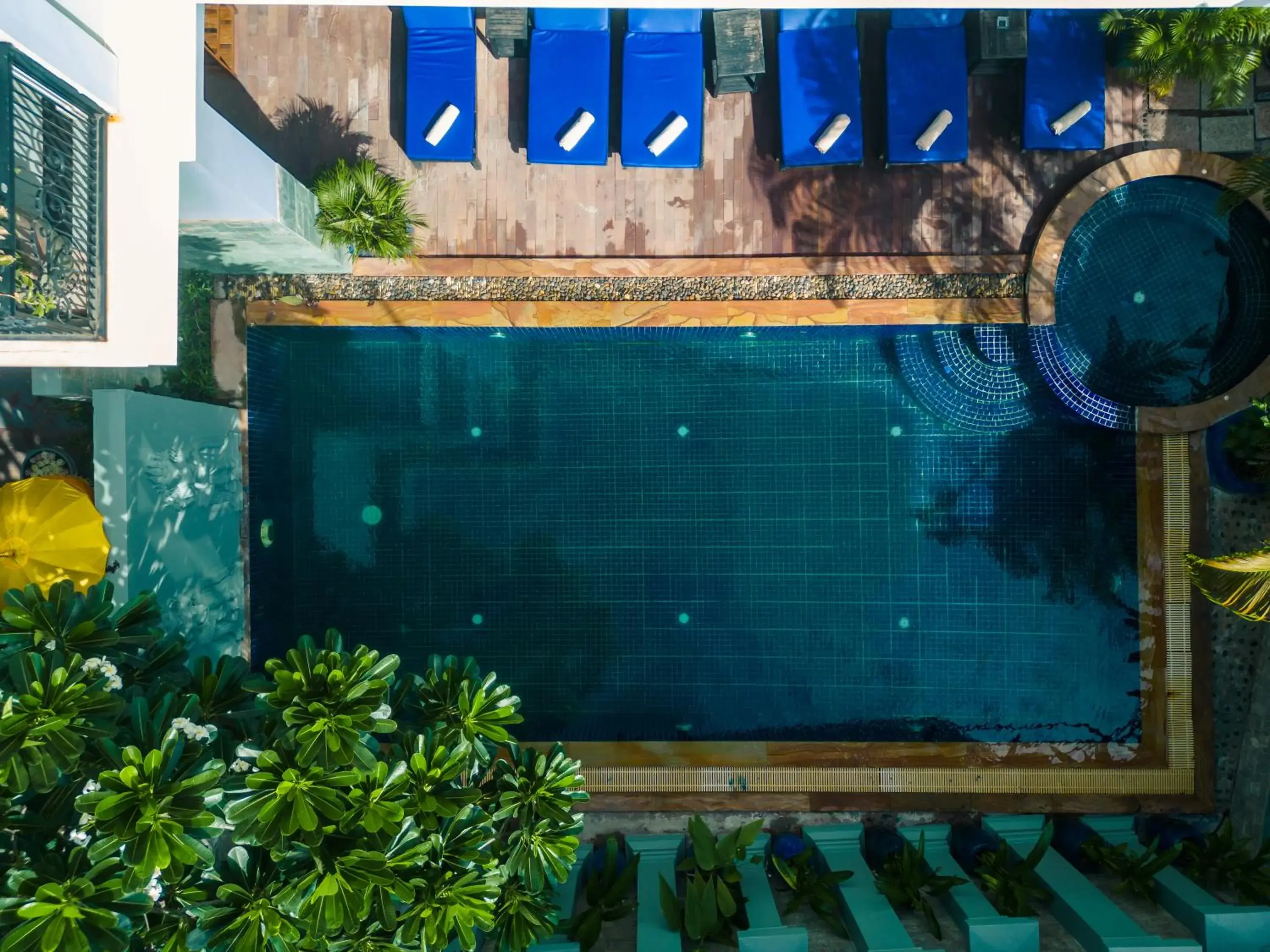 Swimming pool, Pool View in Siem Reap Comforts Hostel