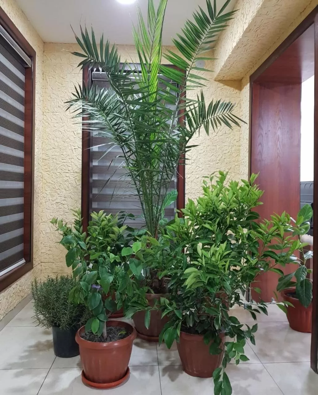 Area and facilities in VOYAGE HOTEL