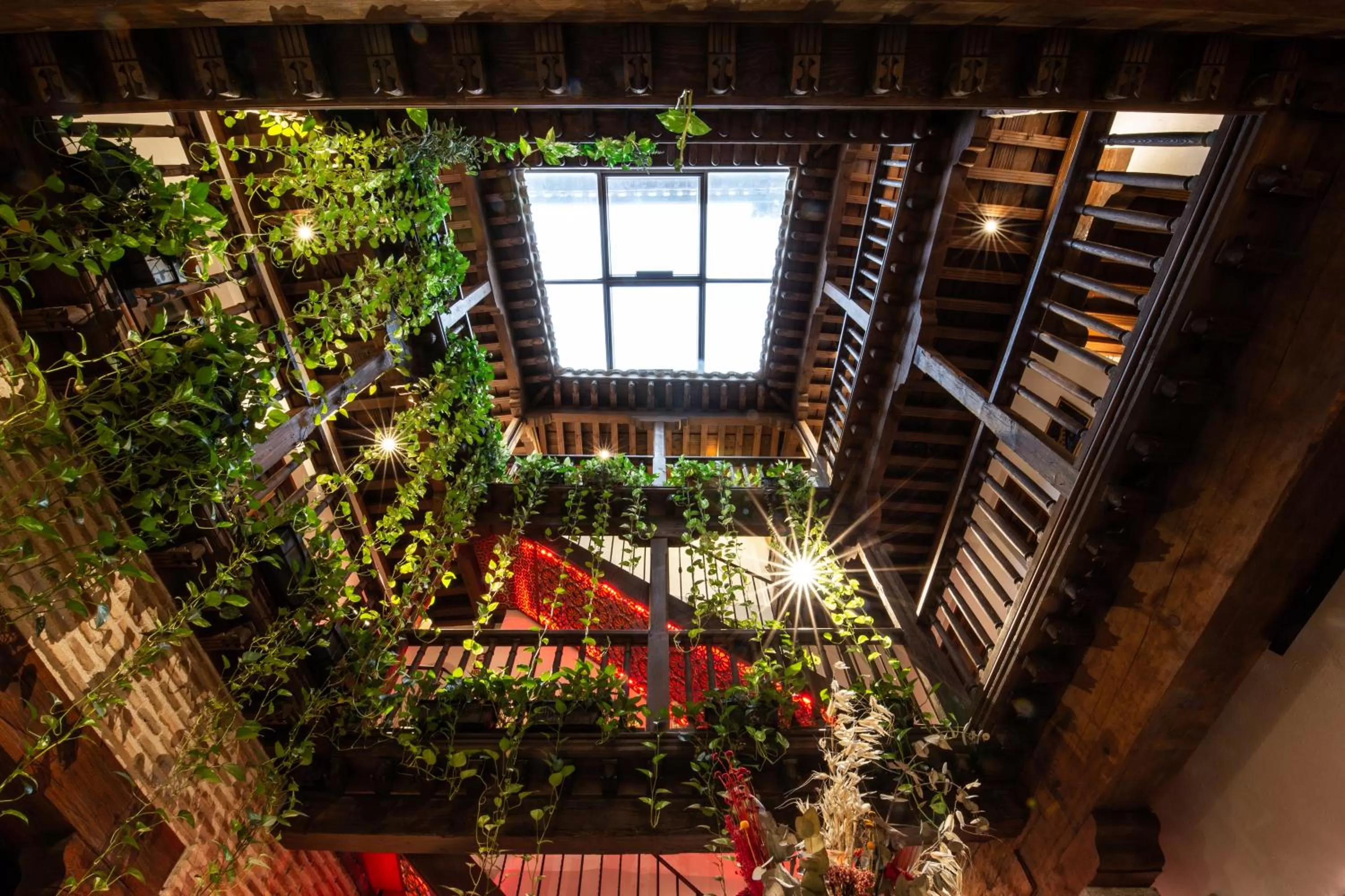 Garden in Entre Dos Aguas Hotel Boutique