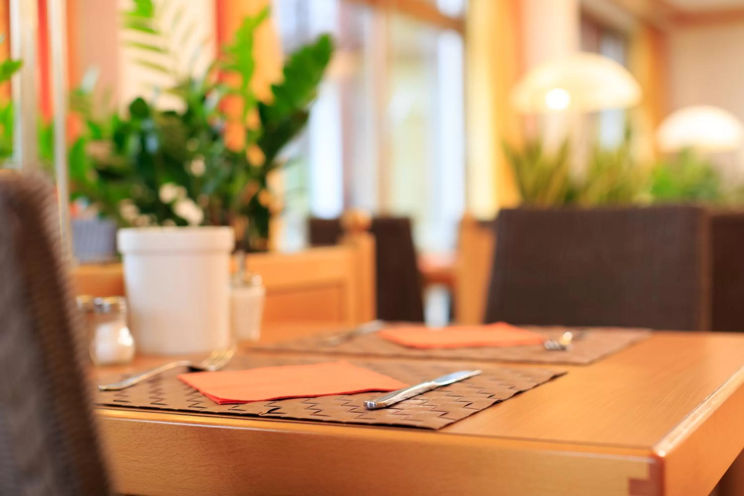 Area and facilities in Hotel Garni Gästehaus am Mühlbach