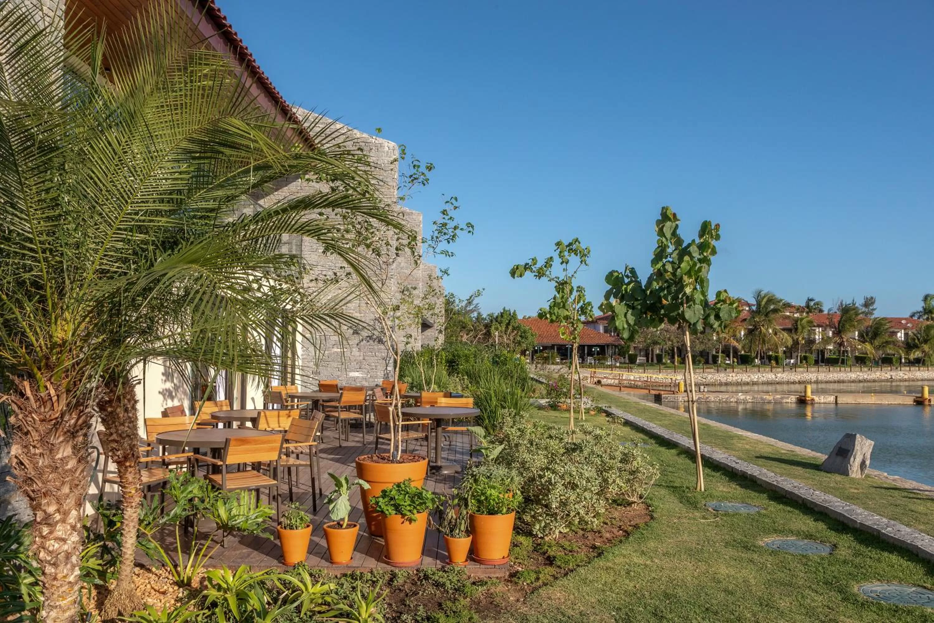 Garden in Hotel Aretê