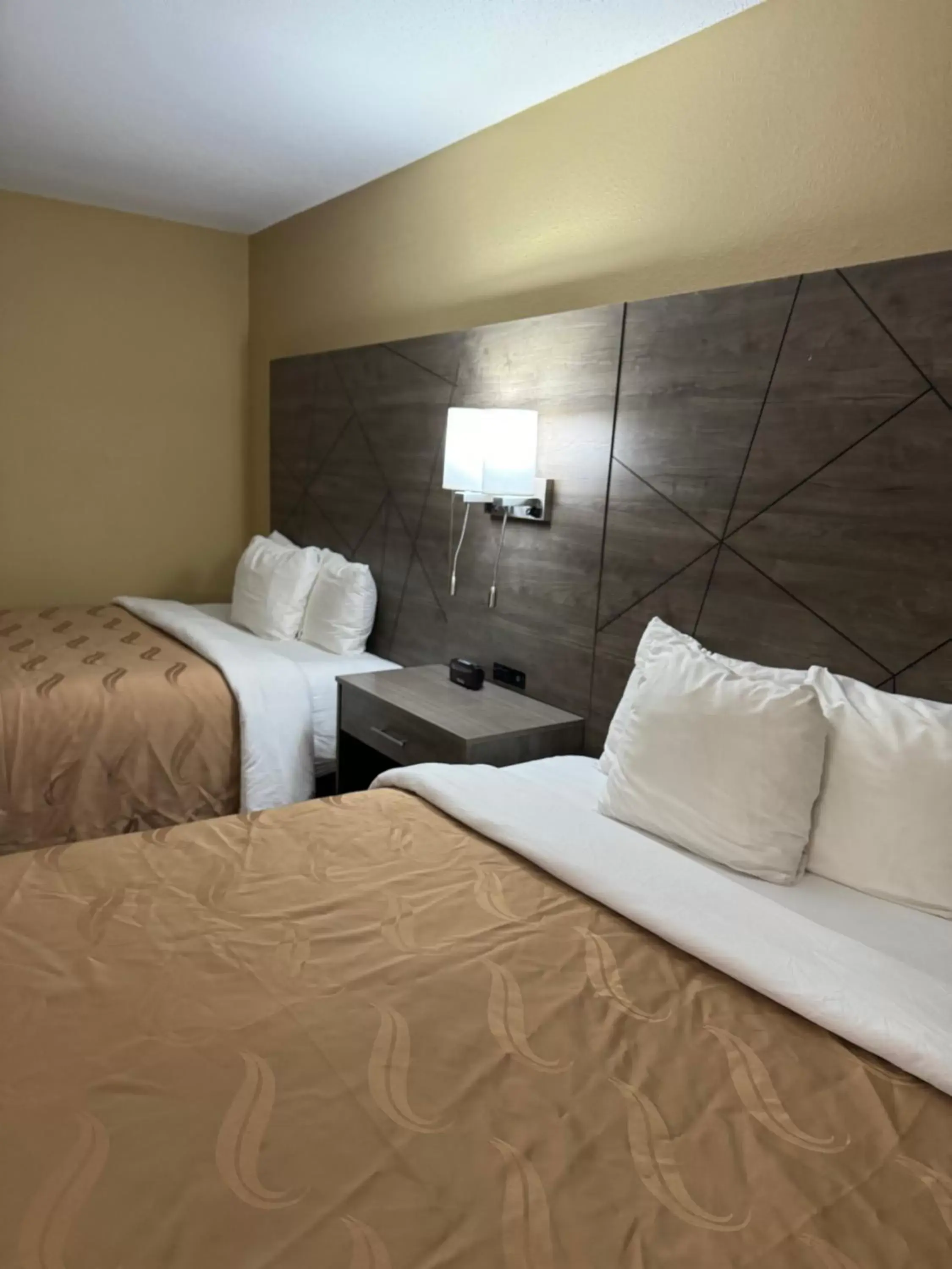 Guests, Bed in Quality Inn near I-72 and Hwy 51