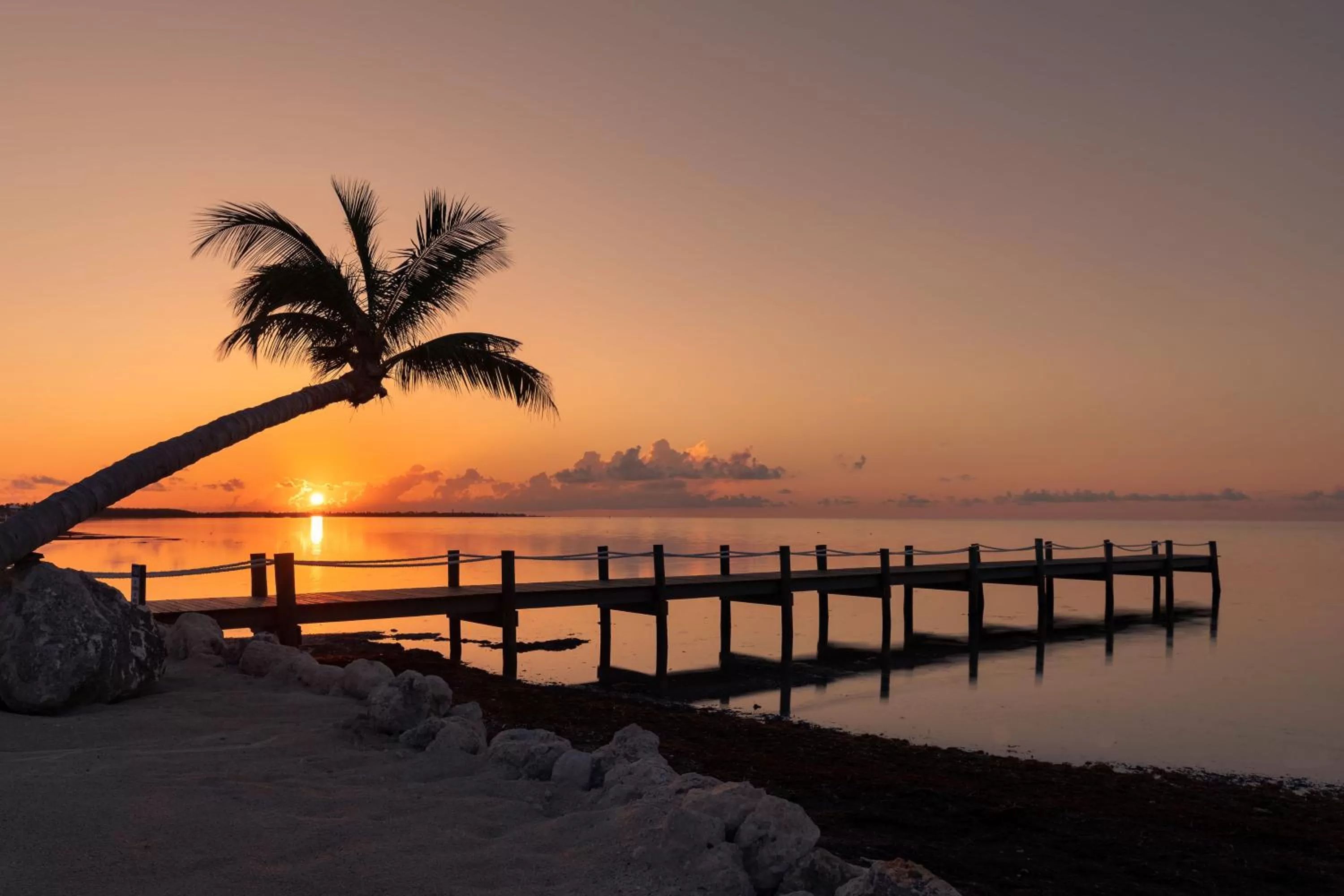 Natural landscape in Grassy Flats Resort & Beach Club