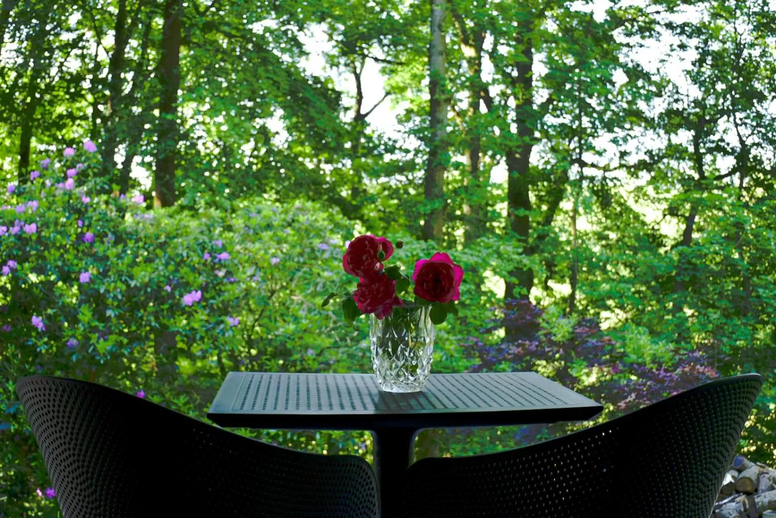 Garden view in Villa Terlanen
