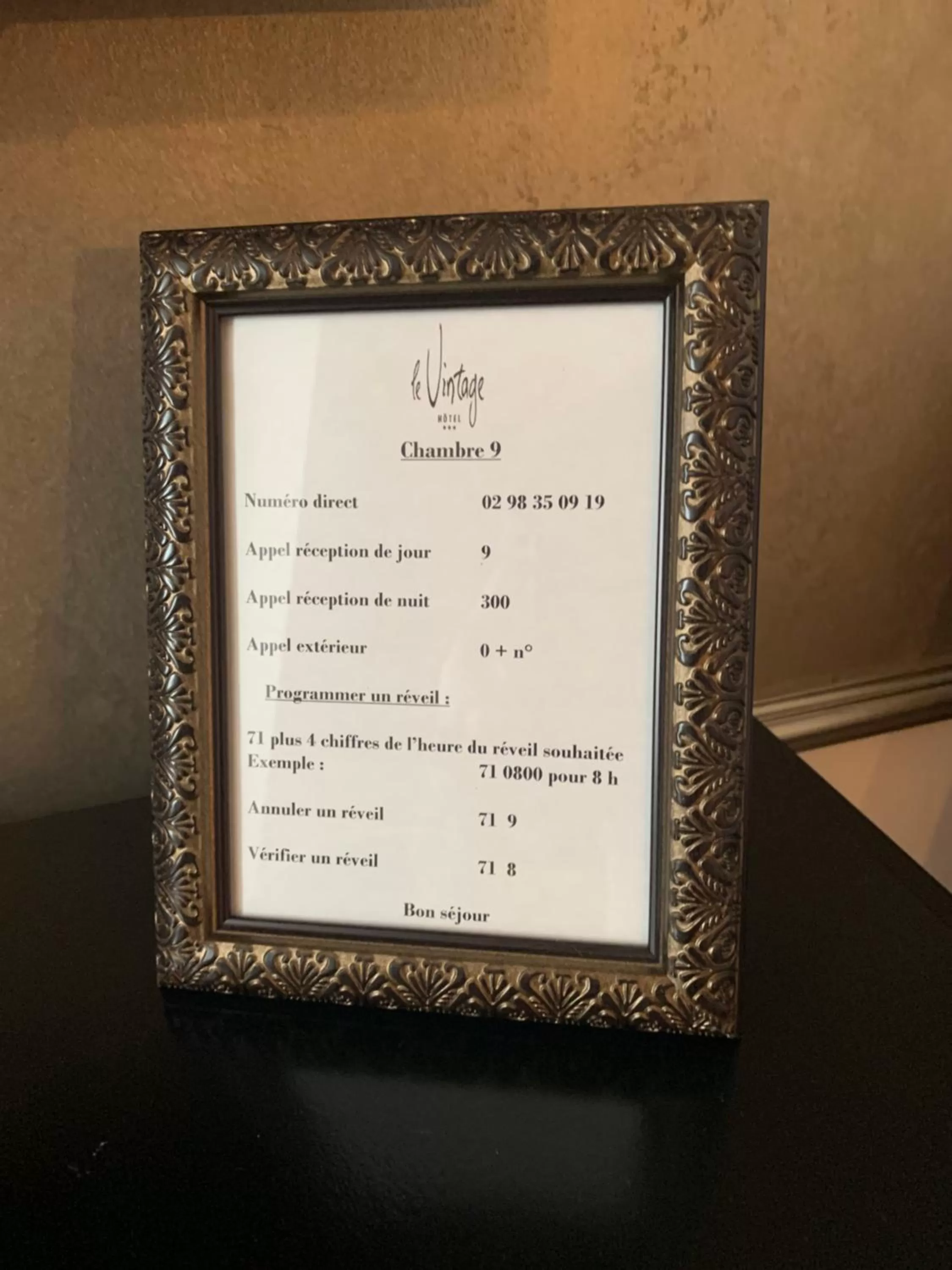 Decorative detail in Hôtel Vintage