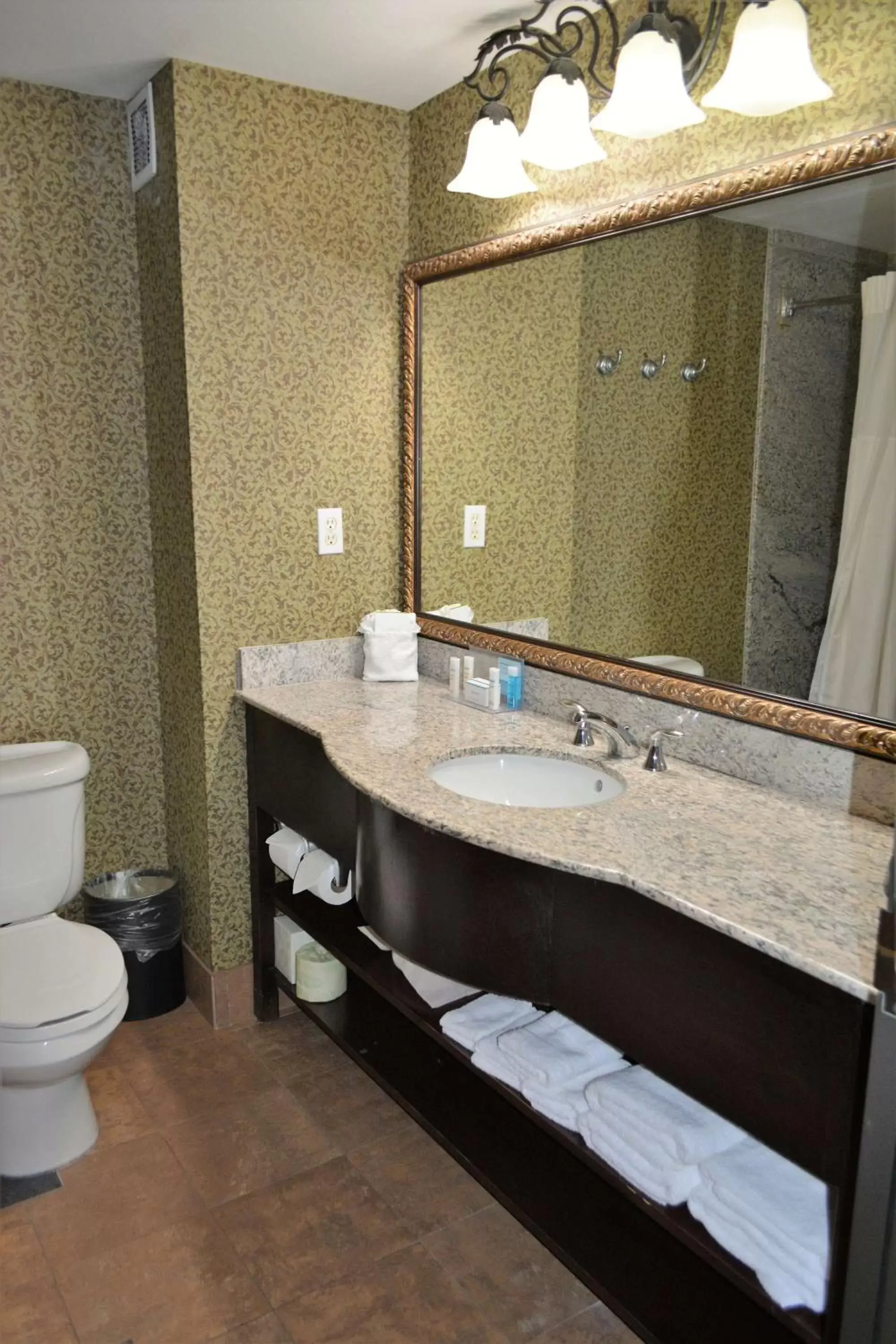 Bathroom in Hampton Inn and Suites Houston-Katy
