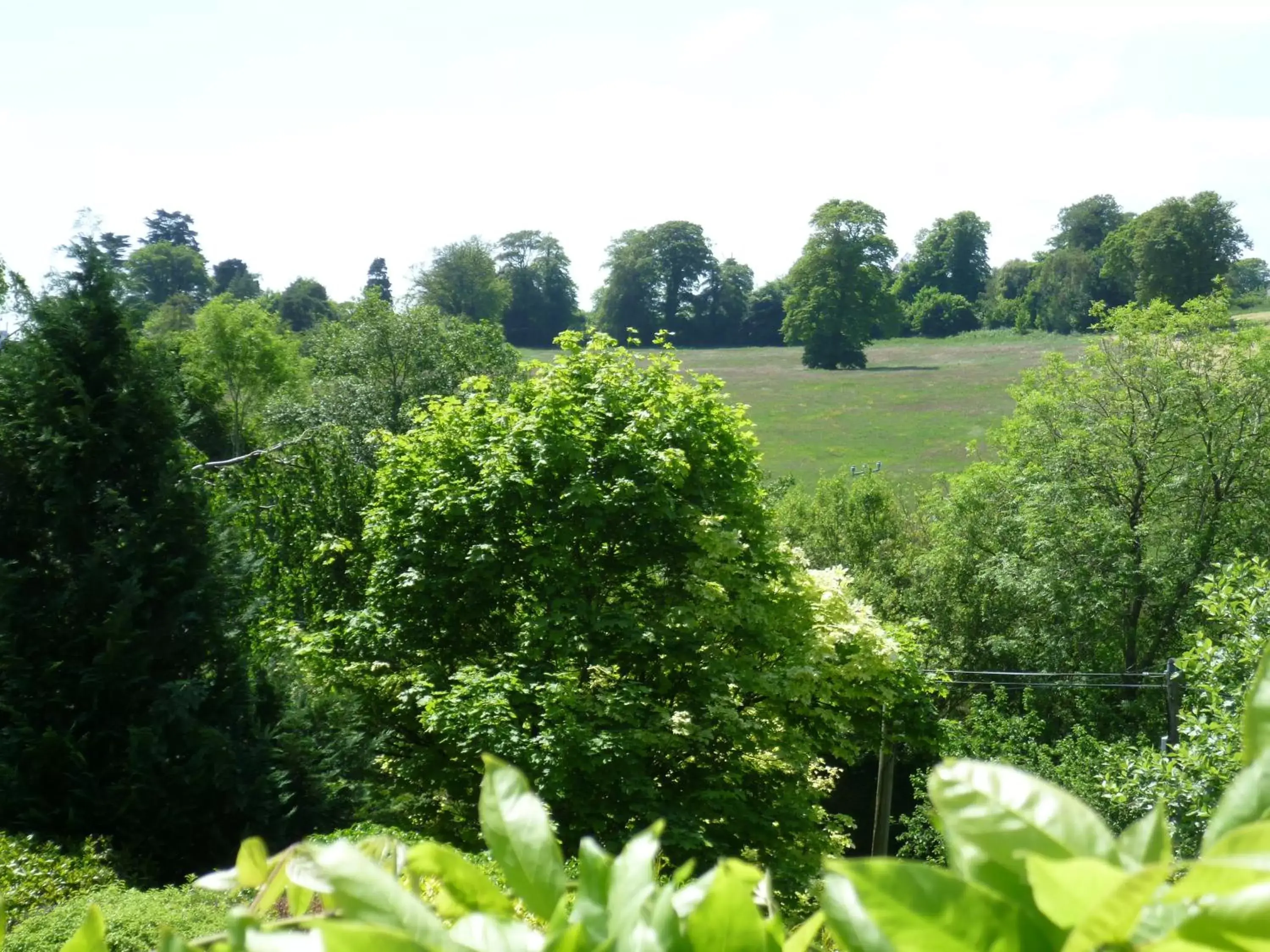 View (from property/room) in Diamond Hill Country House