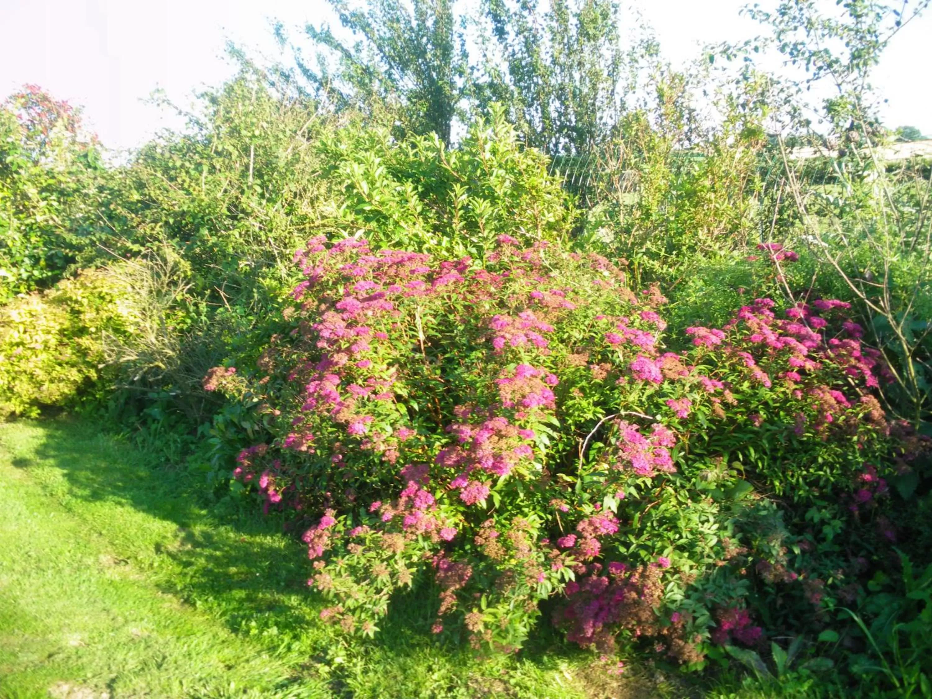 La Vallée des Trois Monts