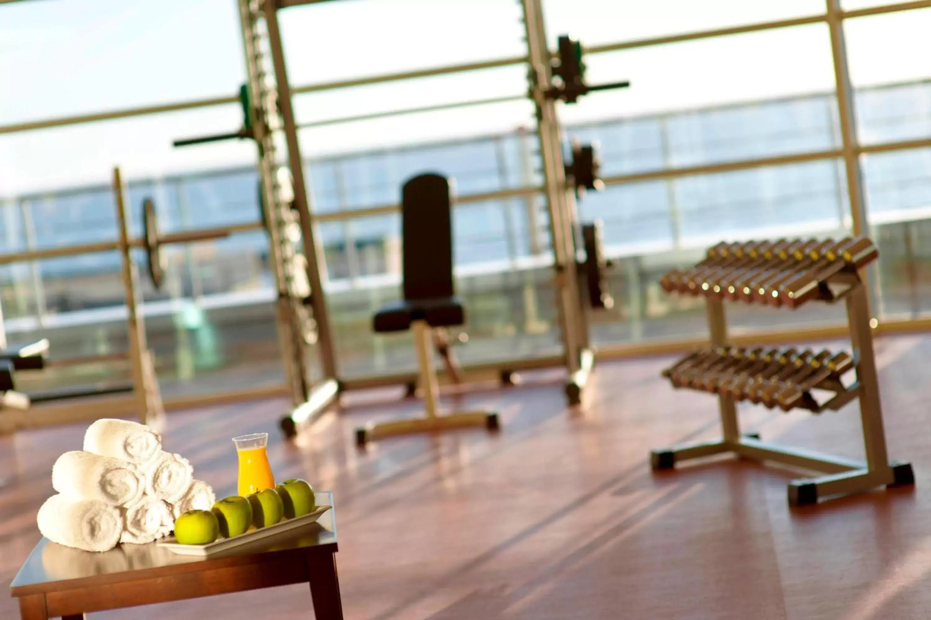 Fitness centre/facilities, Fitness Center/Facilities in Renaissance Aktau Hotel