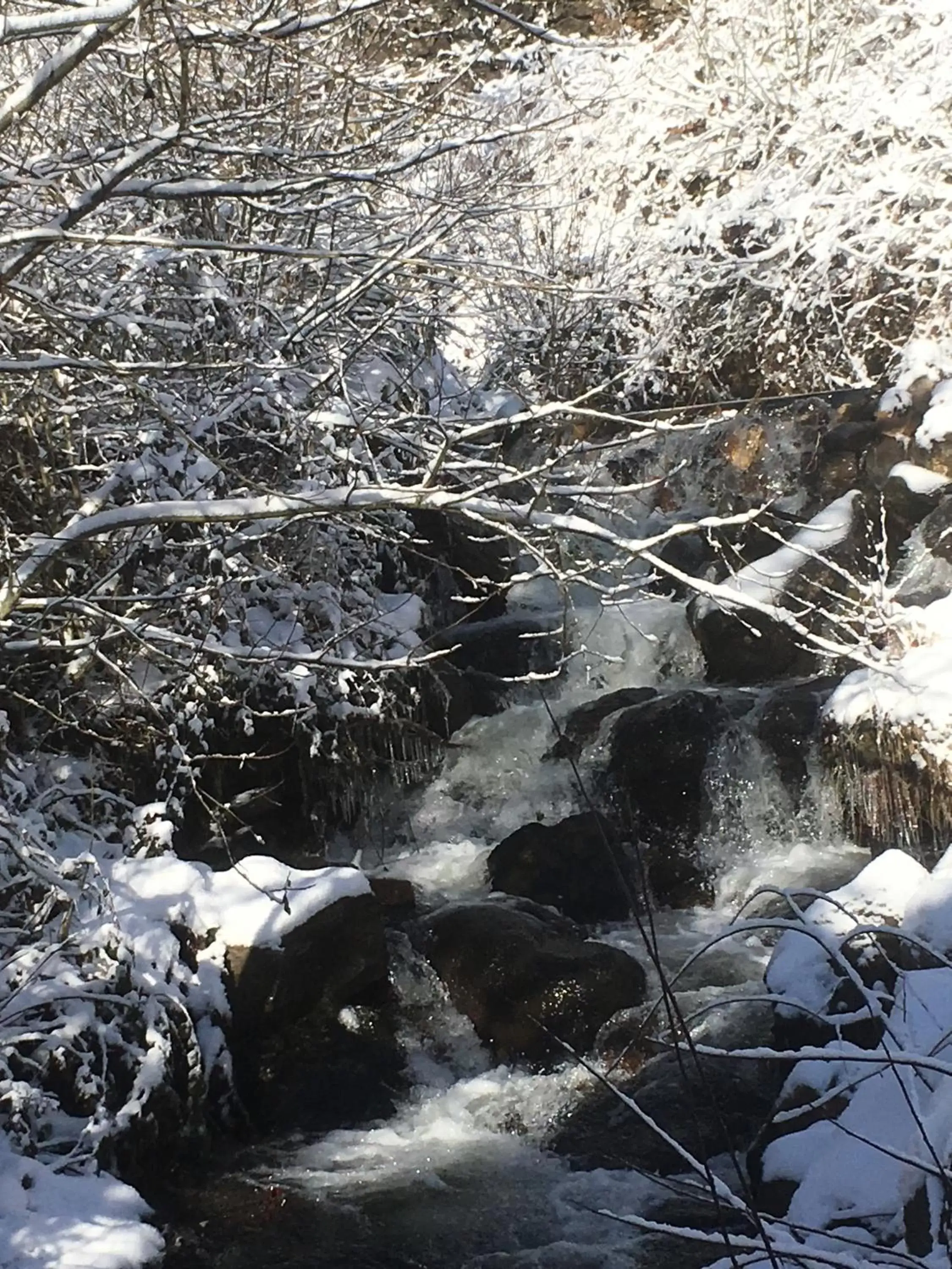 River view, Winter in Chambres et table d'hôtes Le Lepadou-Bas