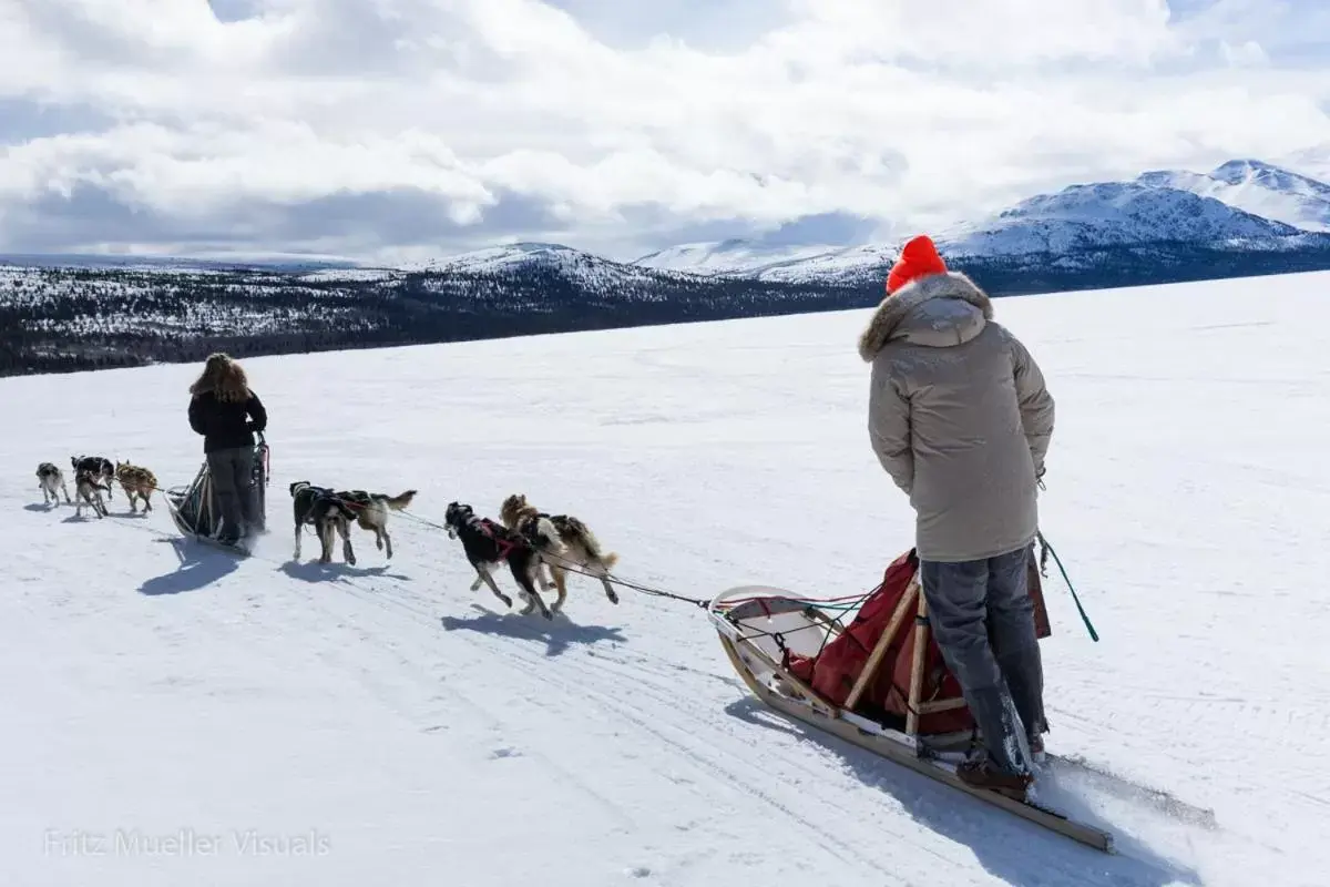 Sports, Winter in Inn on the Lake - Whitehorse