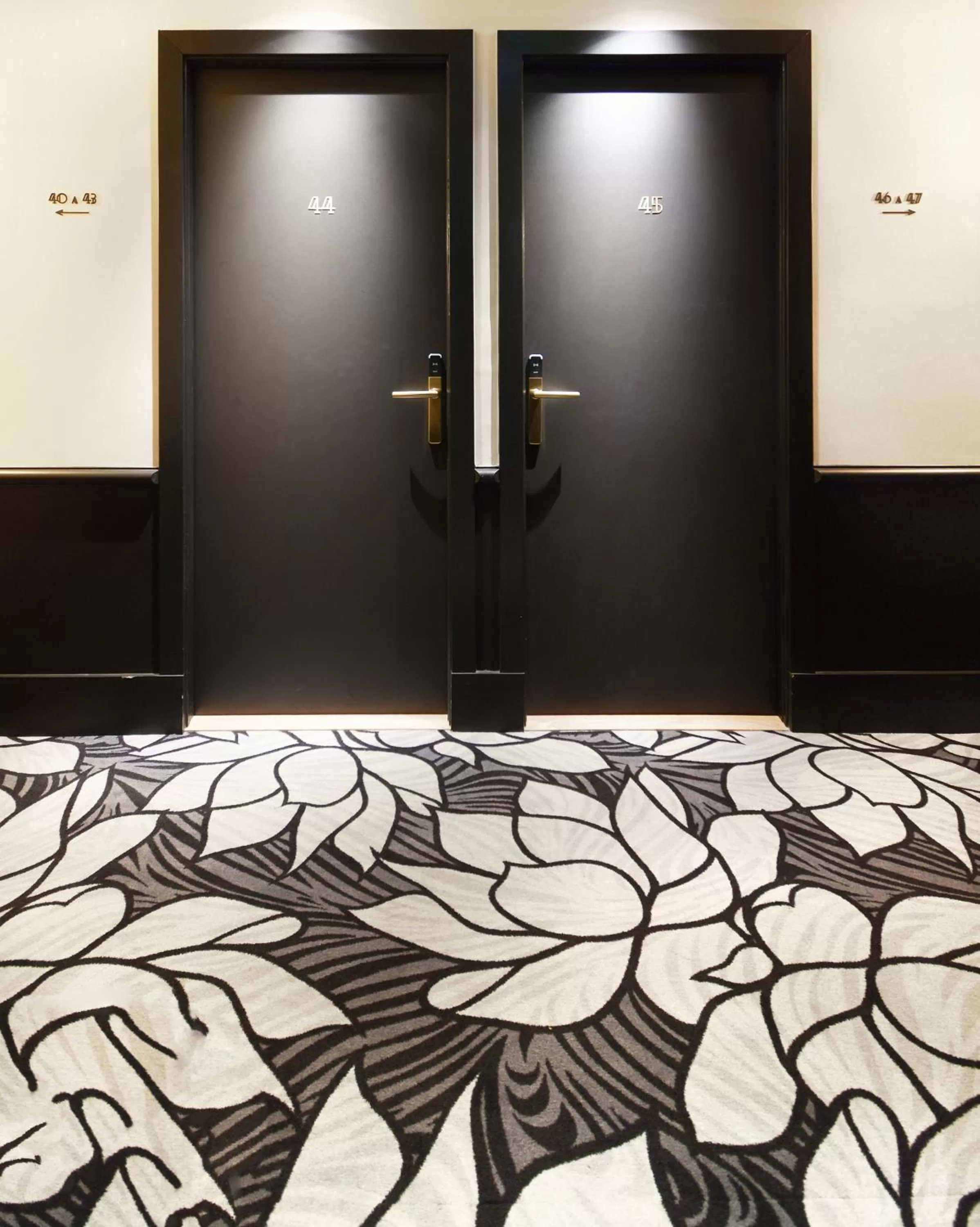 Area and facilities in Hôtel Le Roosevelt Lyon