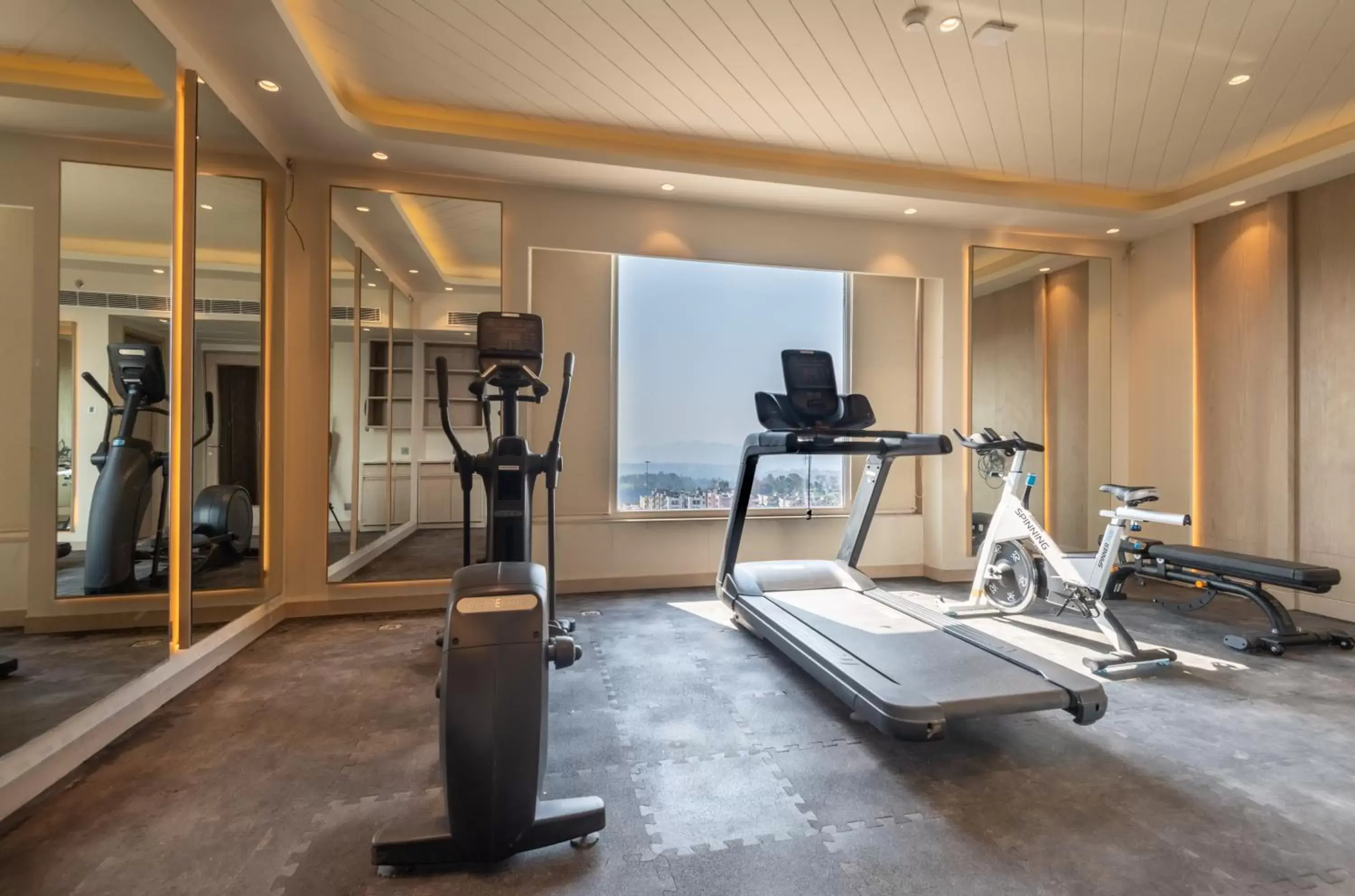 Fitness centre/facilities, Fitness Center/Facilities in Holiday Inn Katra Vaishno Devi, an IHG Hotel