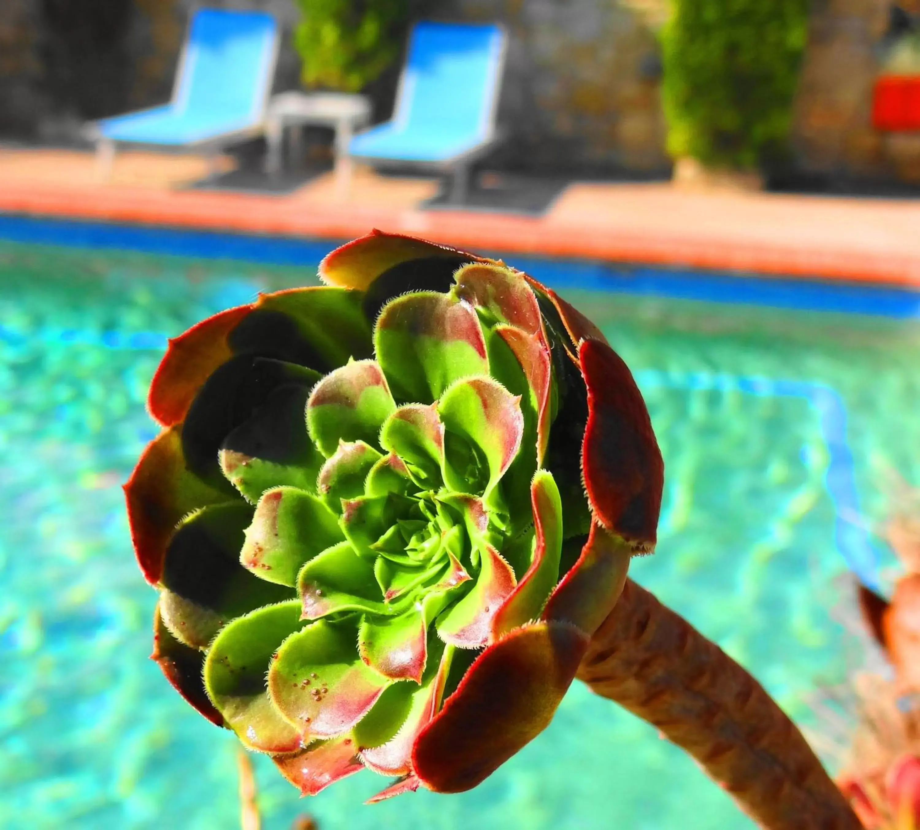 Day, Swimming Pool in Hotel Aeollos