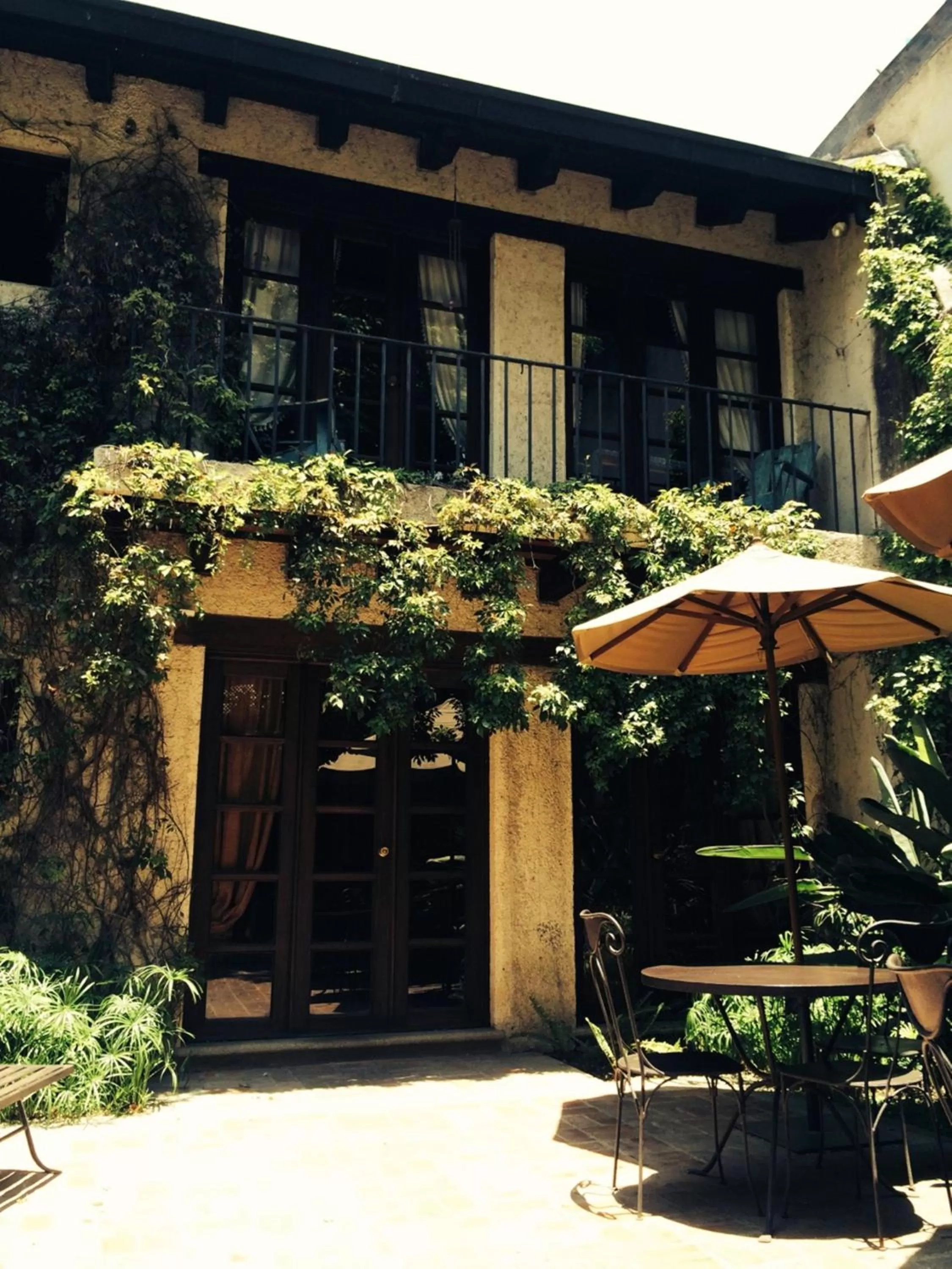 Balcony/Terrace in Cissus Hotel Boutique