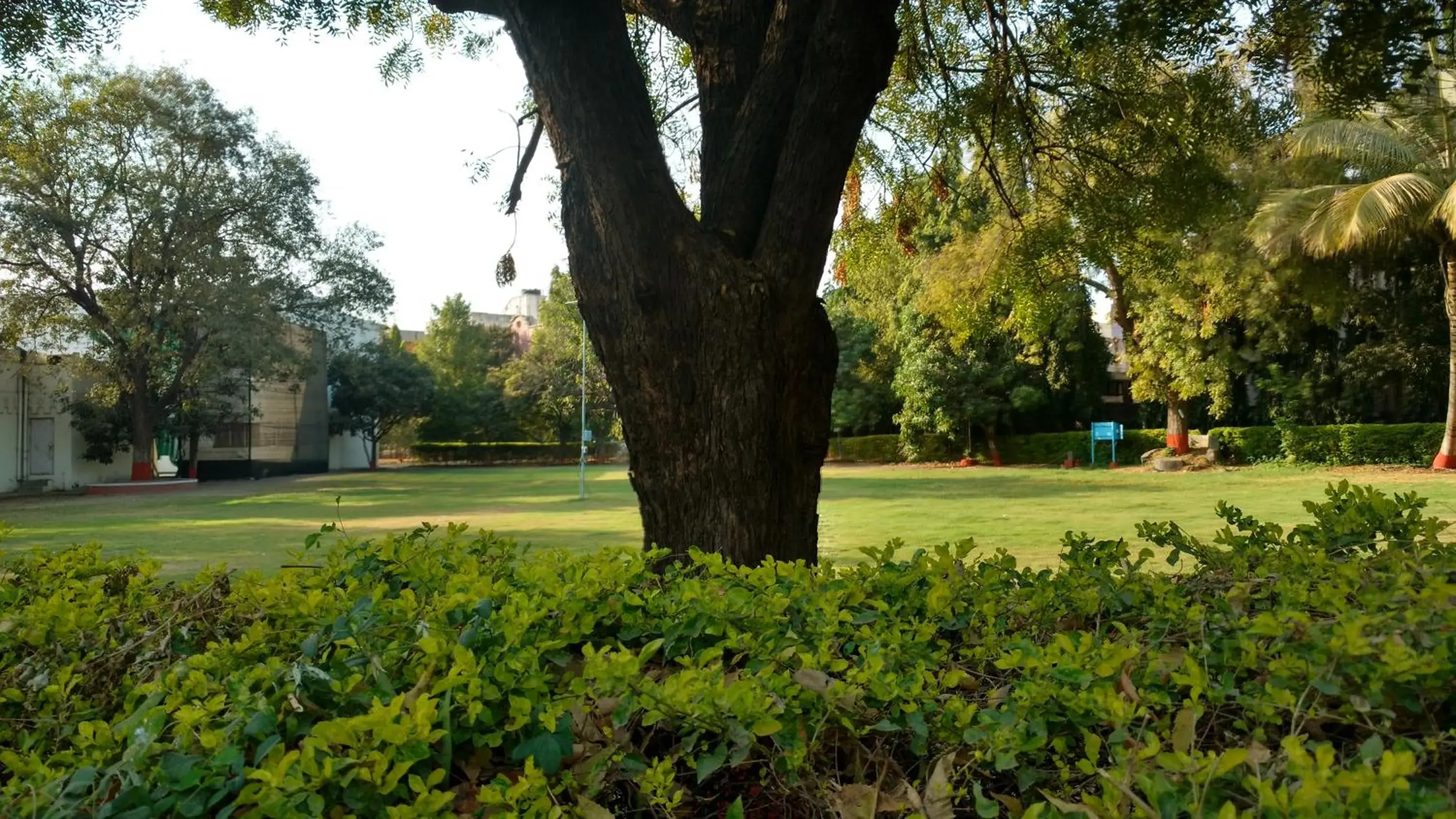 Garden in The Ambassador Ajanta