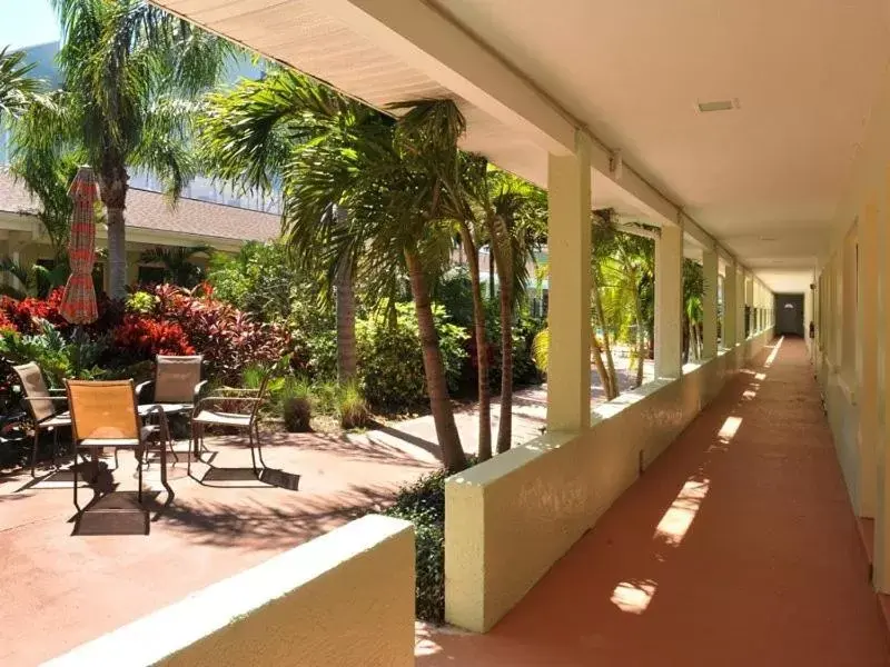 Patio in Hotel SOL