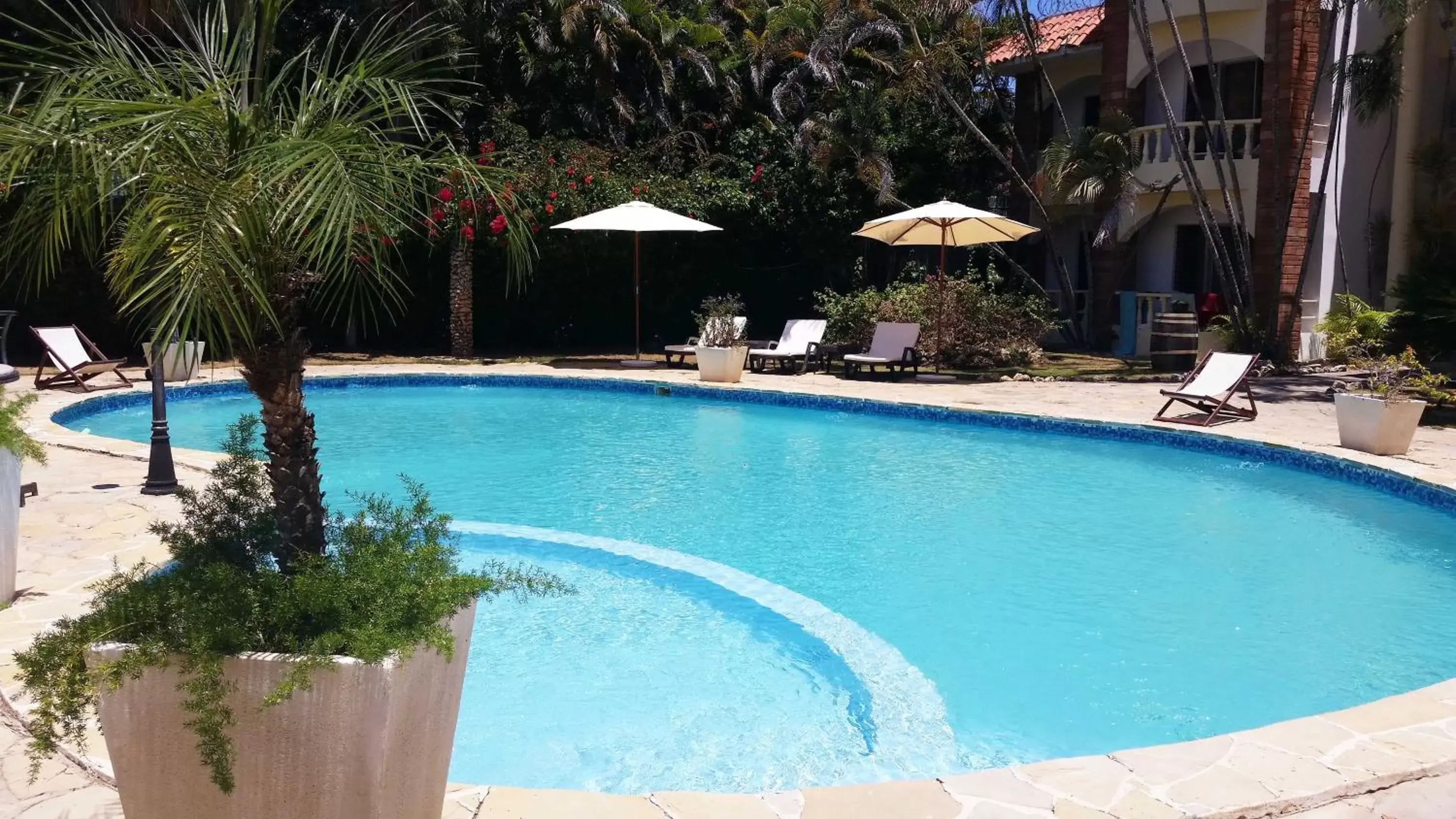 Swimming Pool in Hotel Voramar