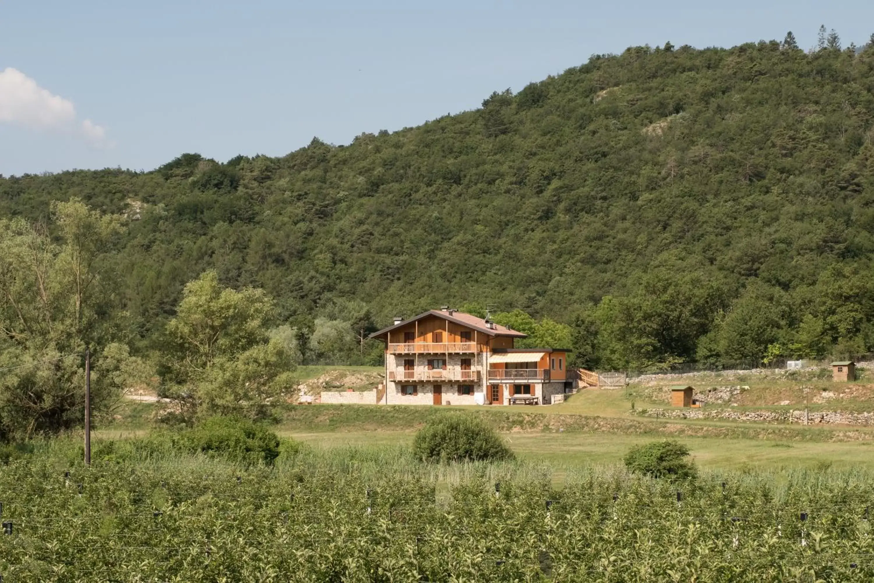 Street view, Property Building in Maso Scricciolo Farm House