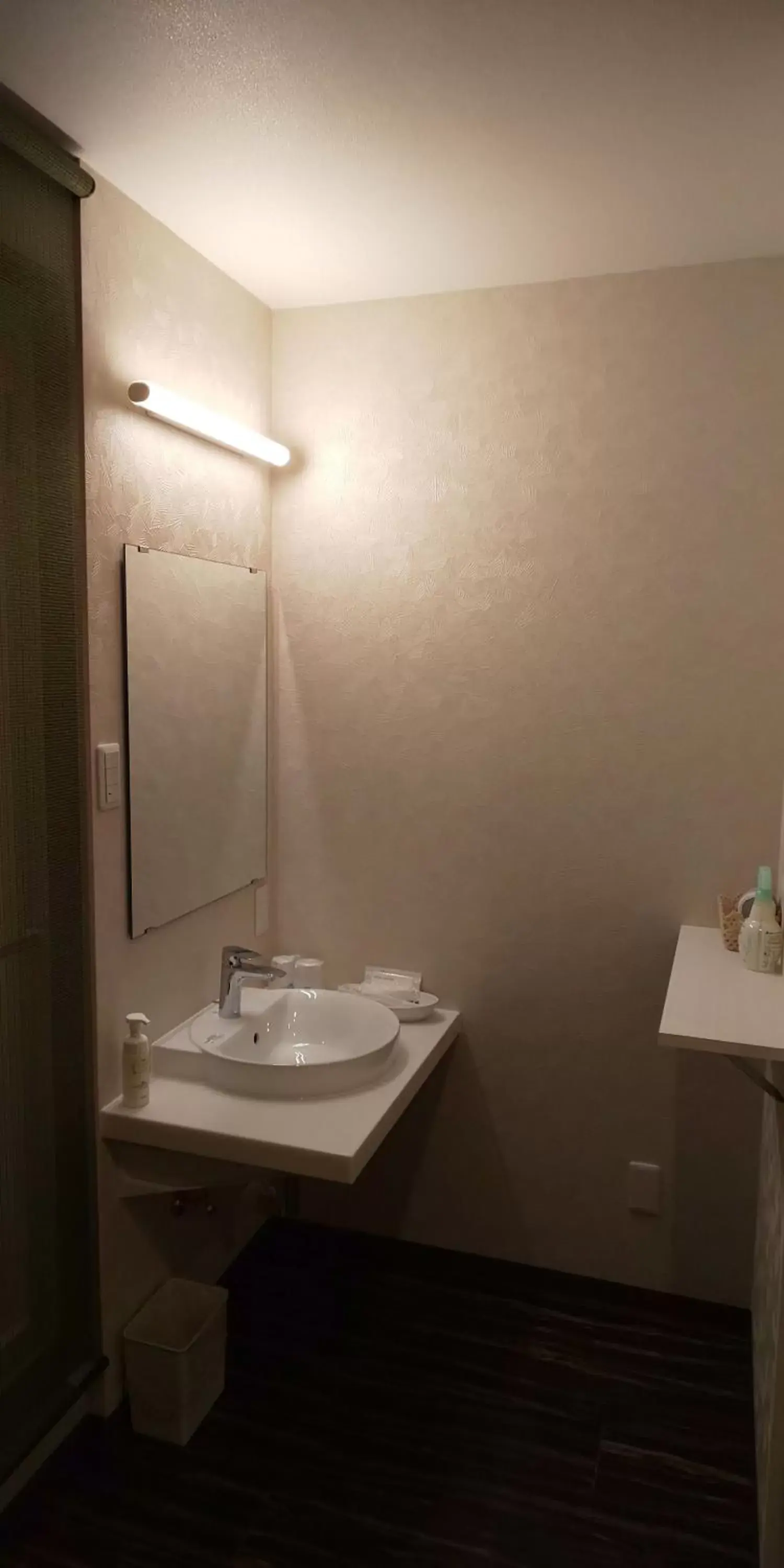 Photo of the whole room, Bathroom in Ueno First City Hotel