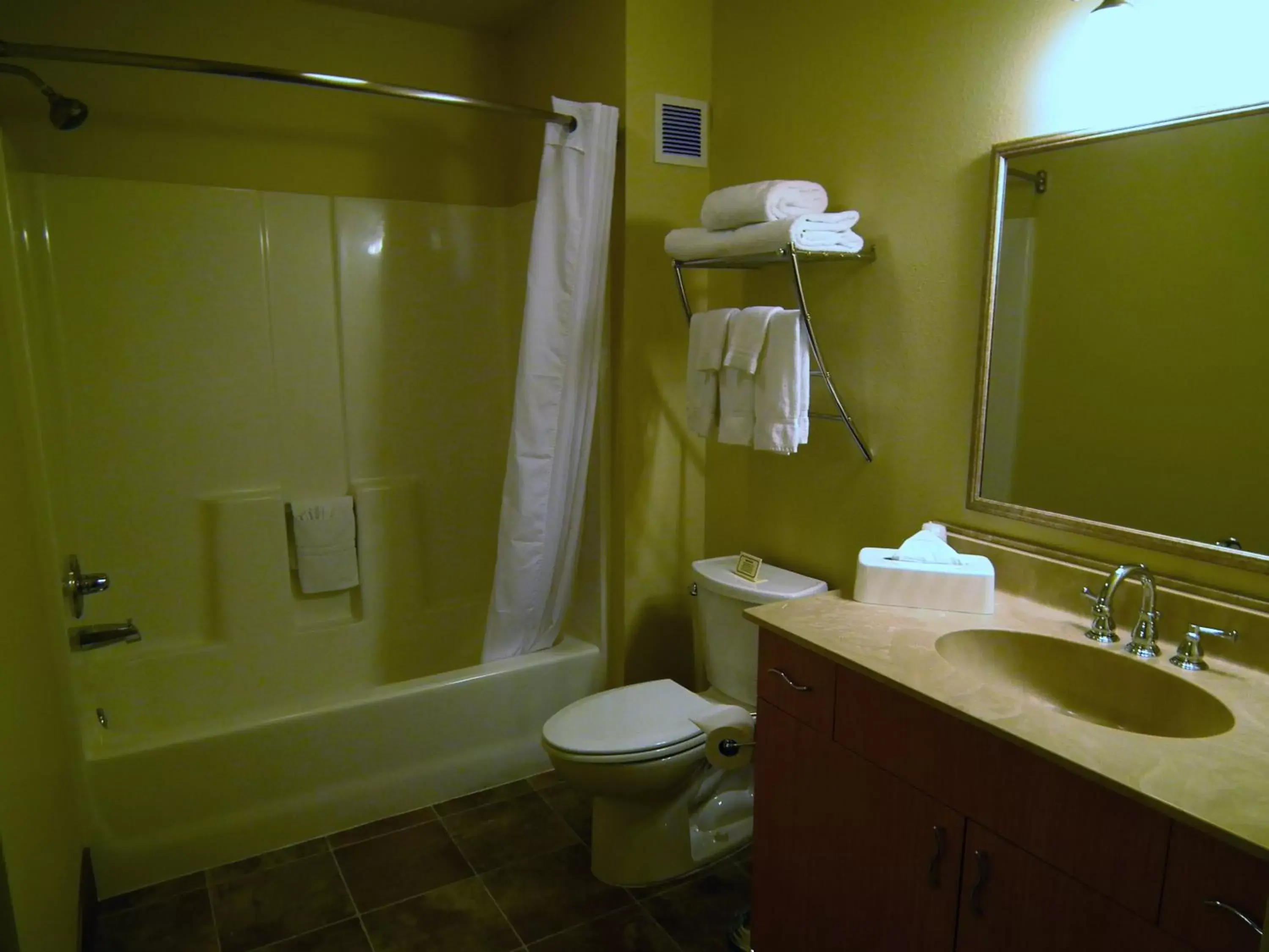 Bathroom in Aspen Suites Hotel Juneau