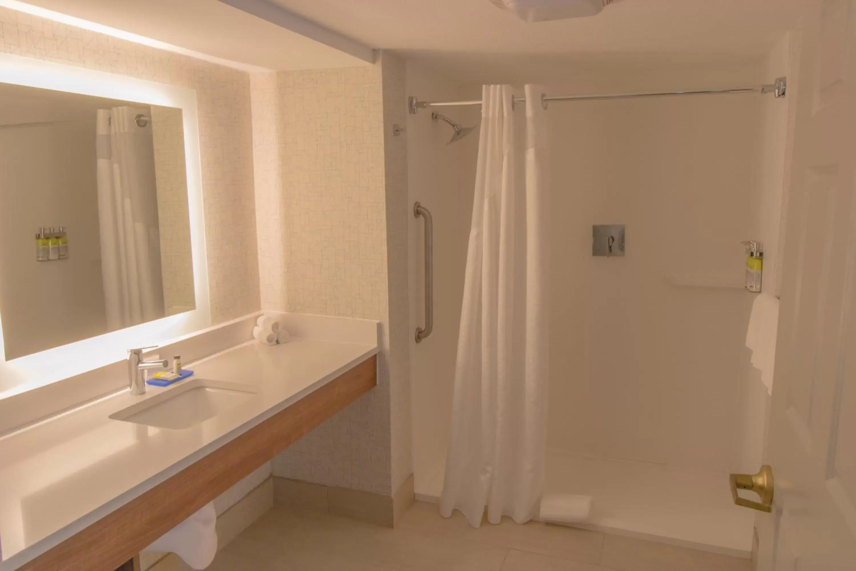 Bathroom in Holiday Inn Express & Suites Manassas, an IHG Hotel